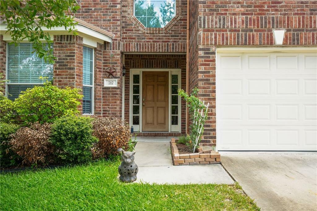 717 Adler Falls Ln, Round Rock, TX 78665