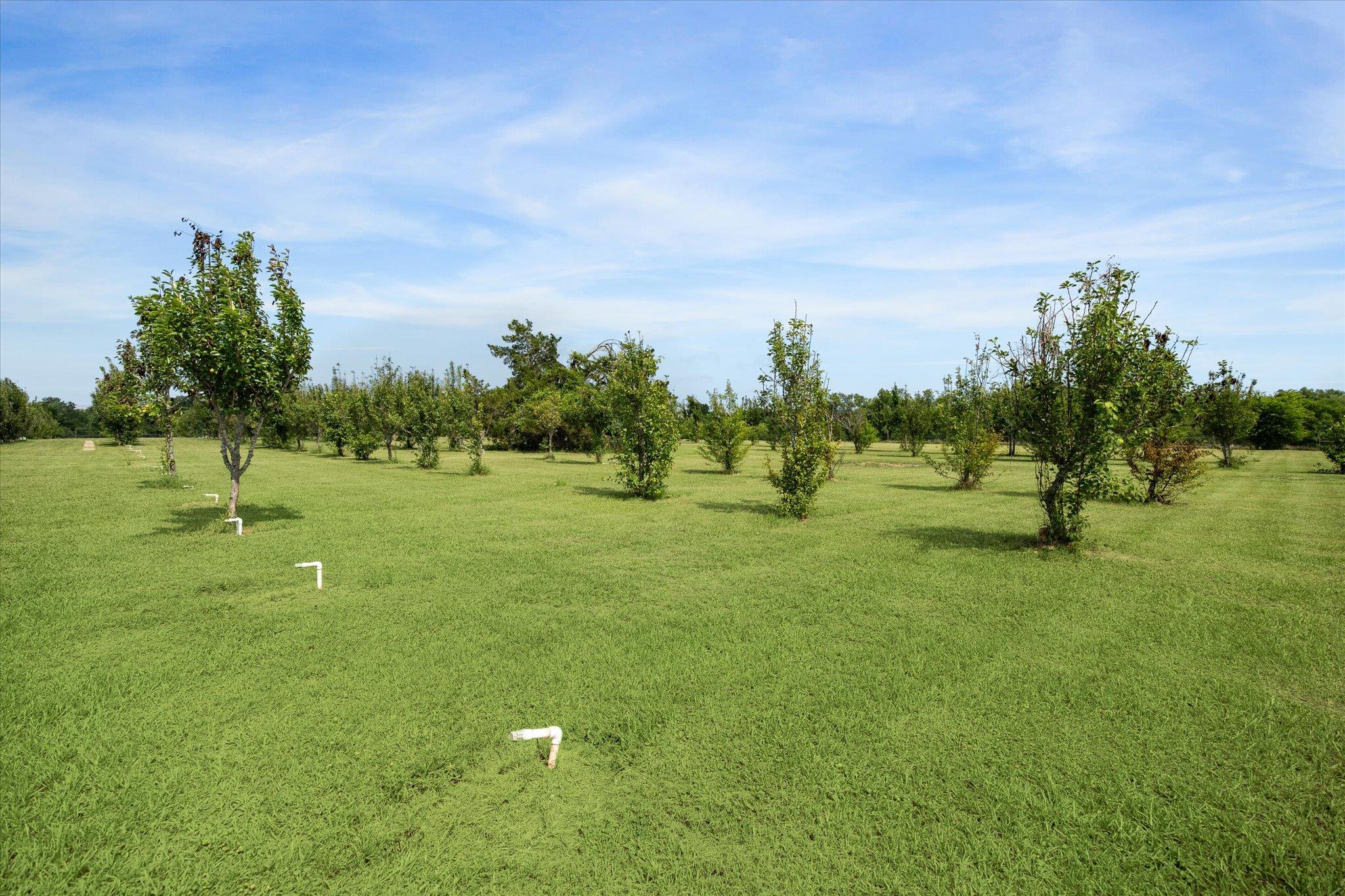 4451 County Road 467, Elgin, TX 78621