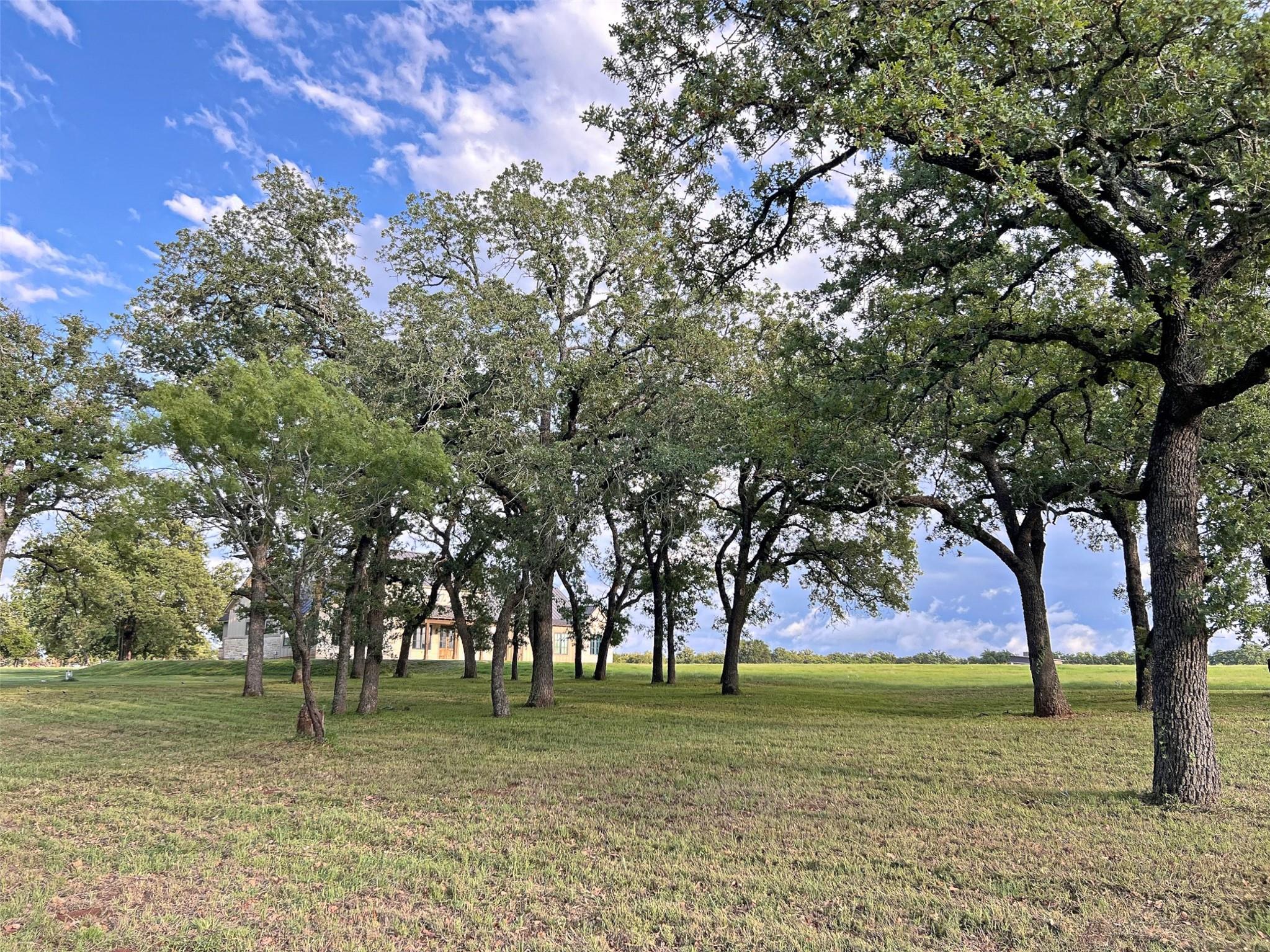 1402 Countryside Bnd, Fredericksburg, TX 78624