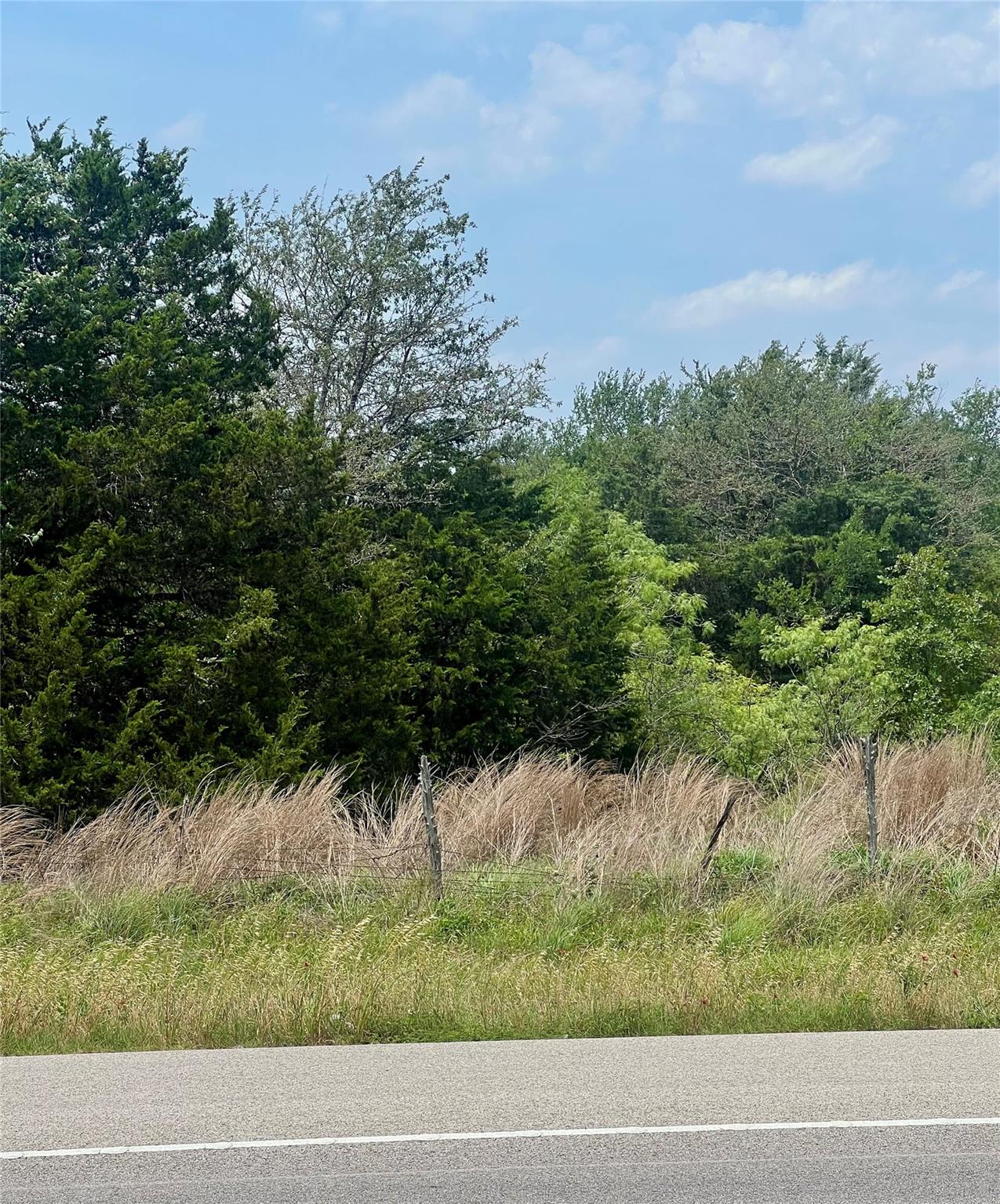 TBD State Hwy 304 Highway, Smithville, TX 78957