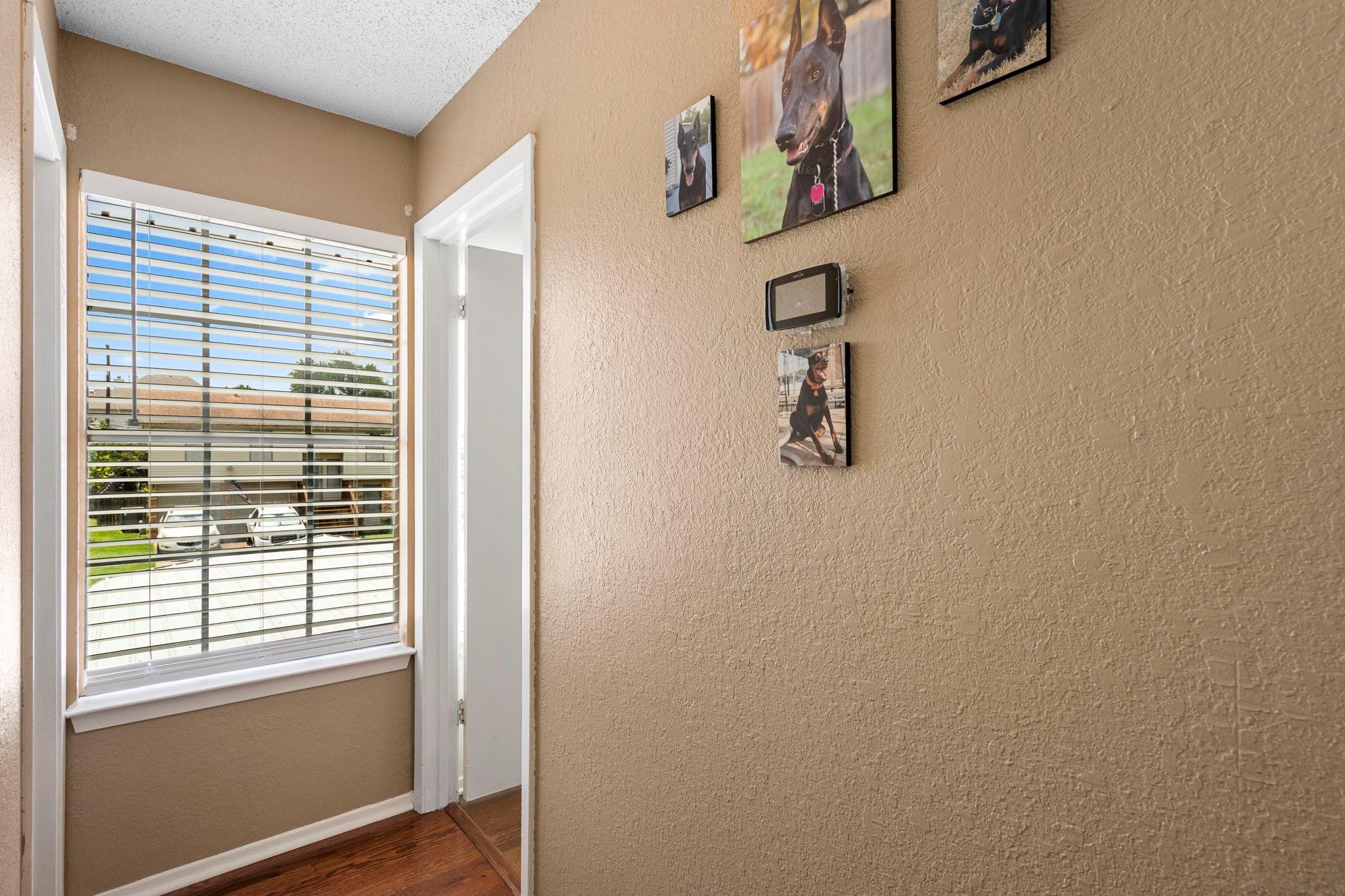 8559 Red Willow Dr, Austin, TX 78736