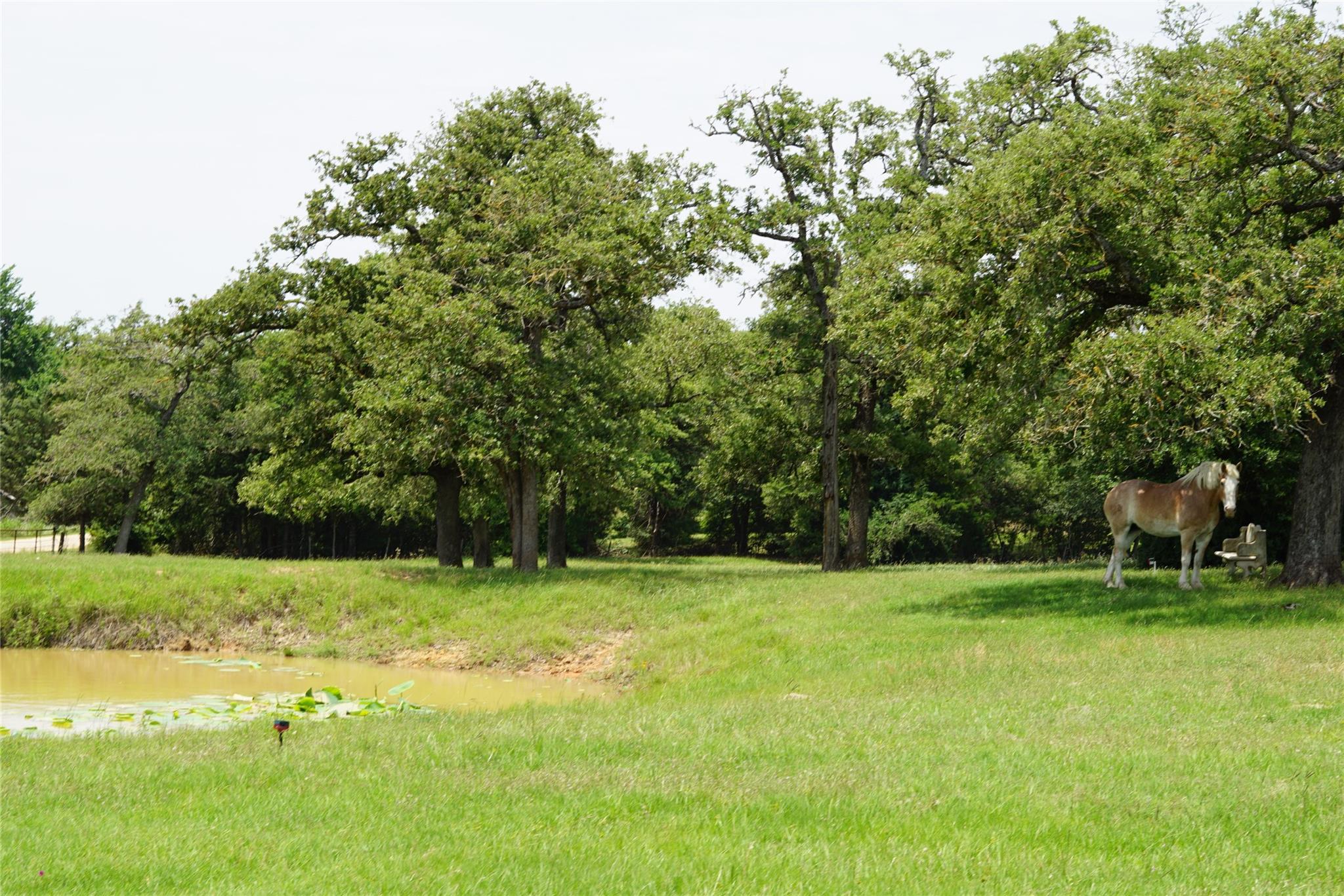 5857 CR 322, Rockdale, TX 76567