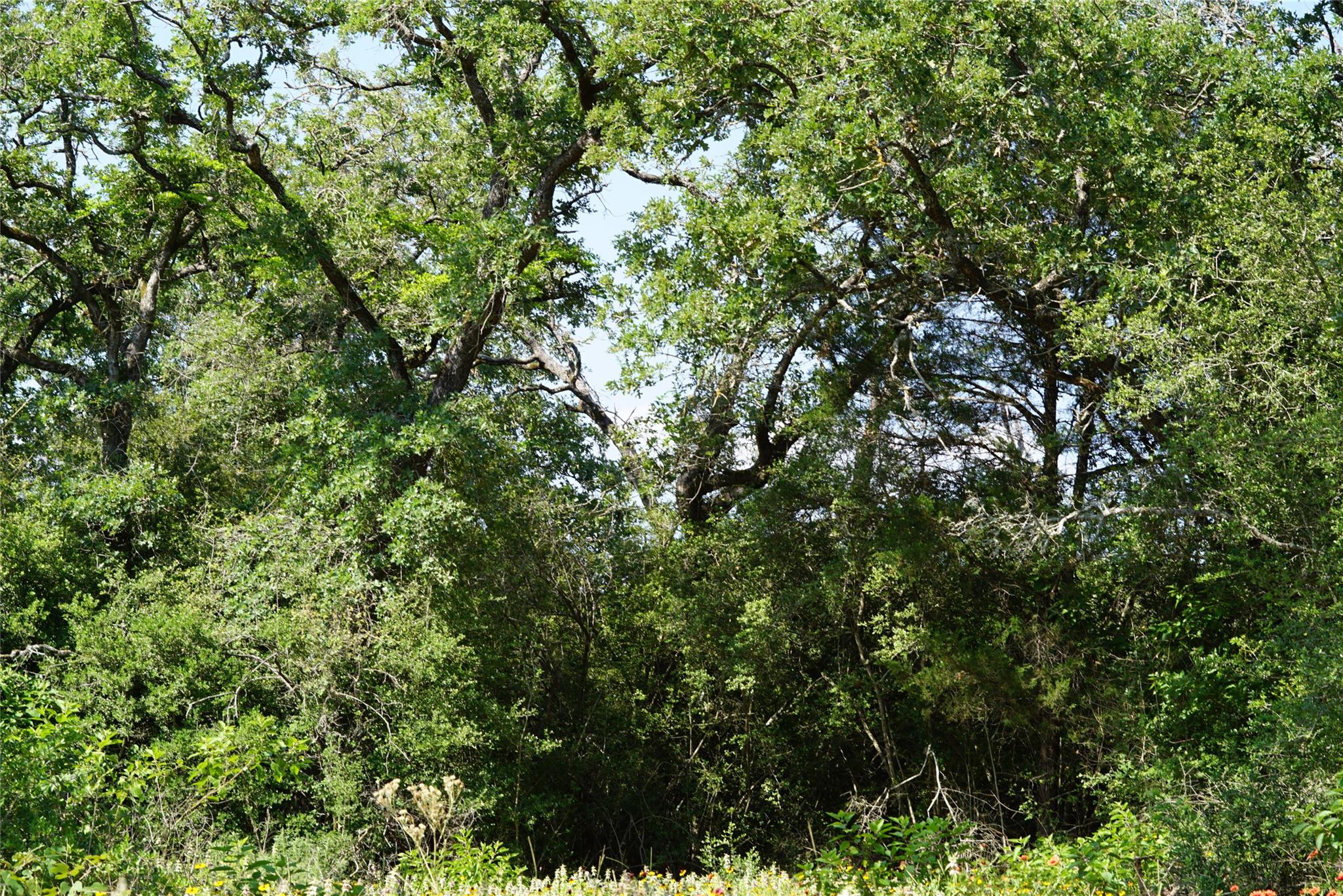 5857 CR 322, Rockdale, TX 76567
