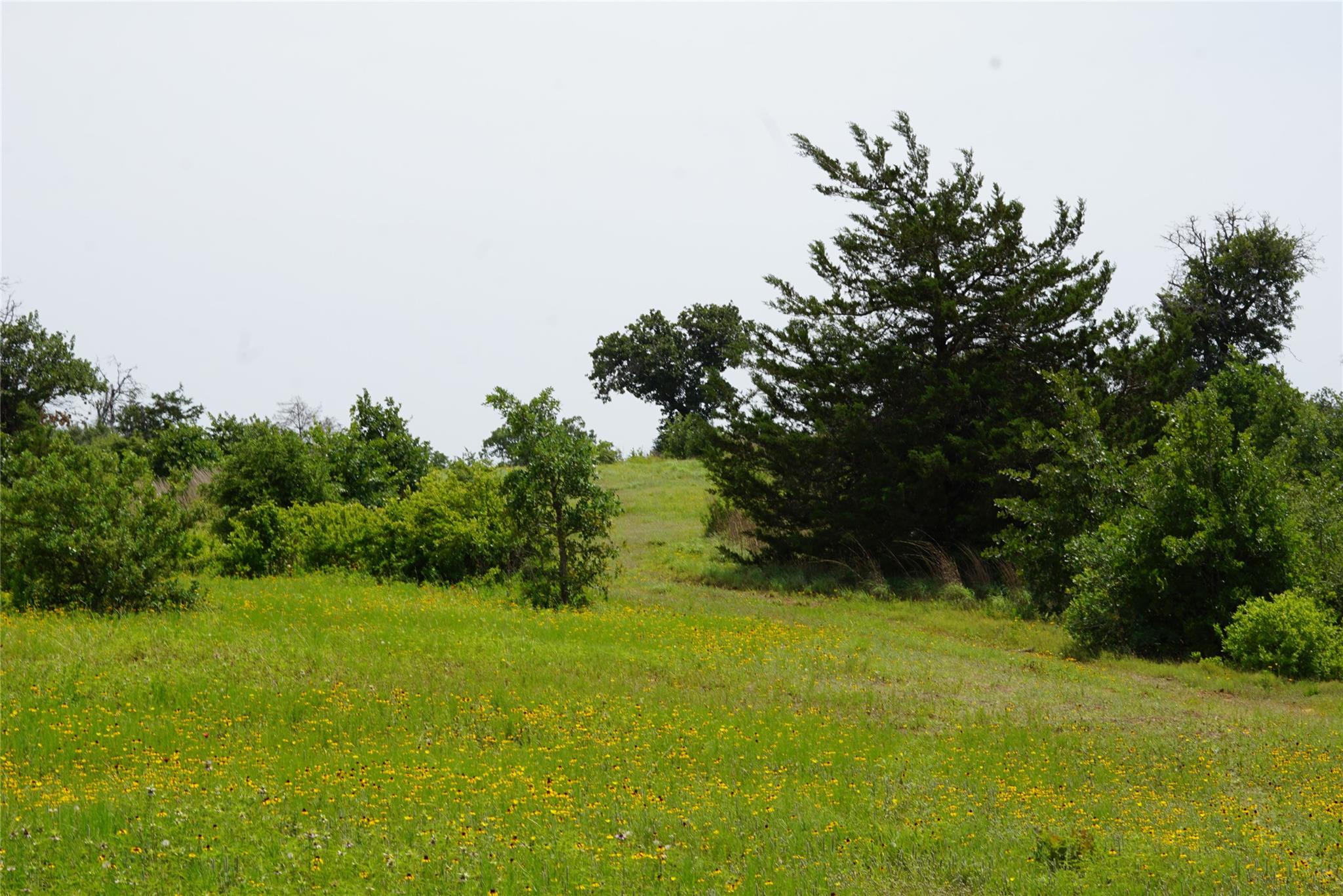 5857 CR 322, Rockdale, TX 76567