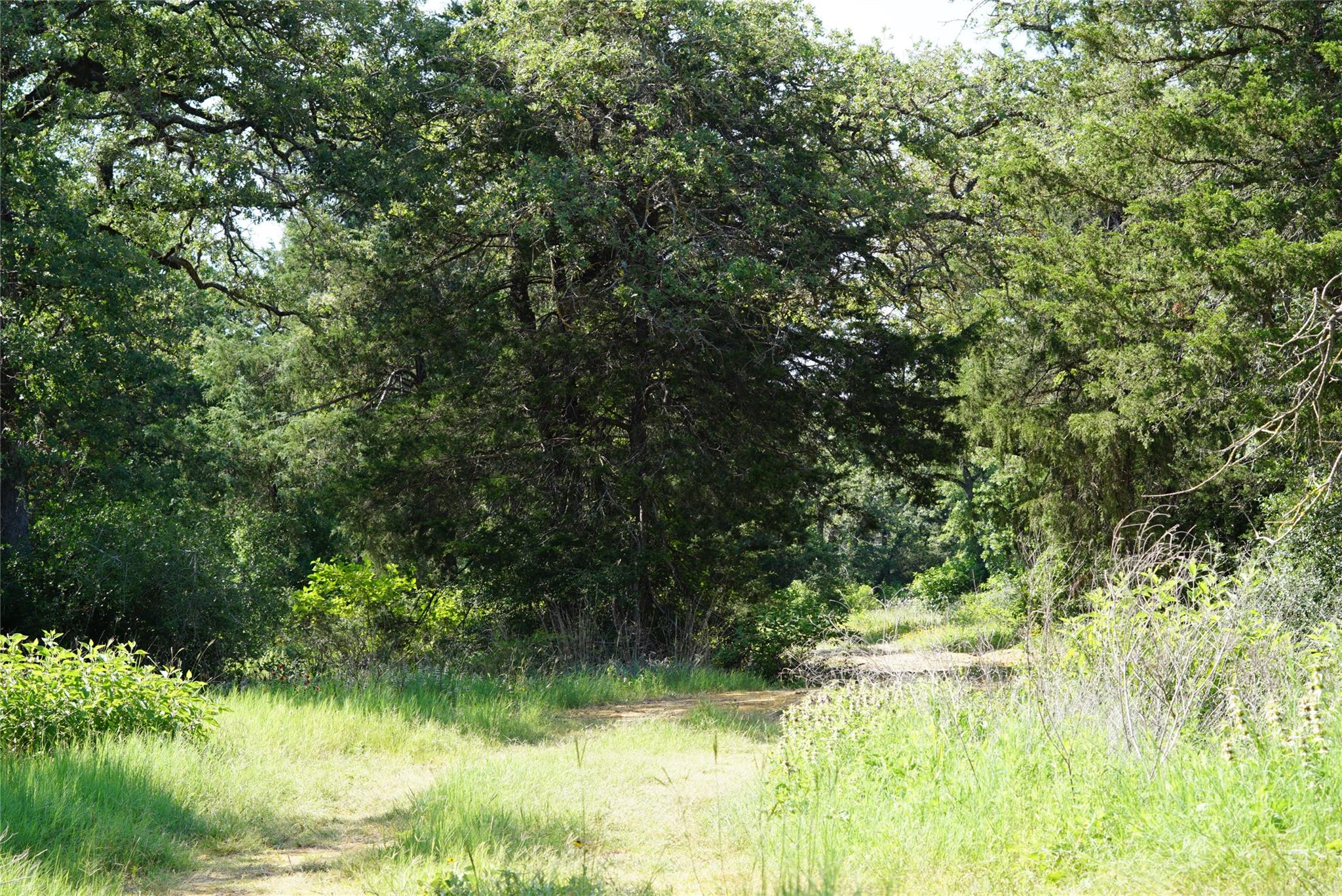 5857 CR 322, Rockdale, TX 76567
