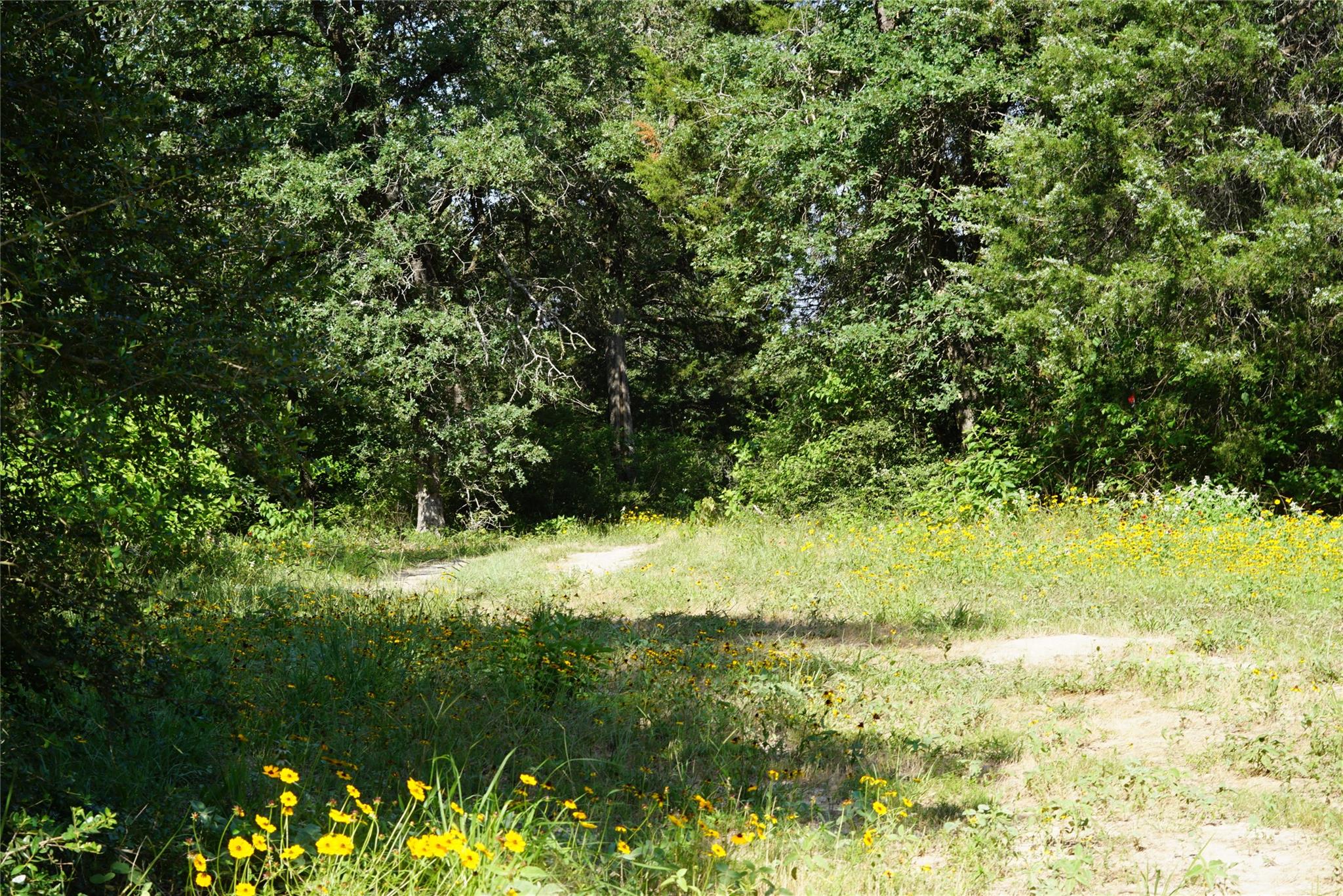 5857 CR 322, Rockdale, TX 76567