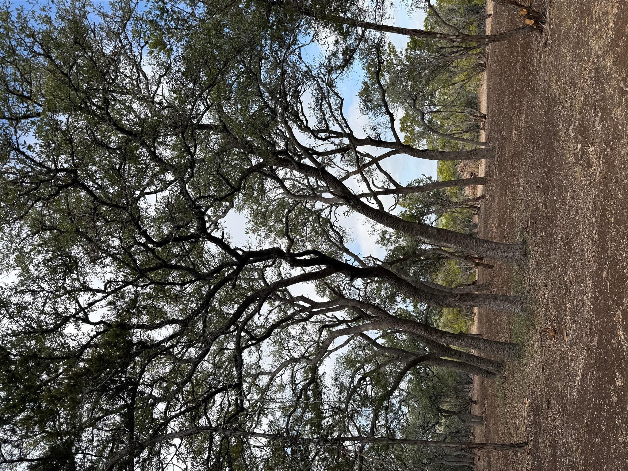 15 Acres Red Corral Ranch Rd, Wimberley, TX 78676