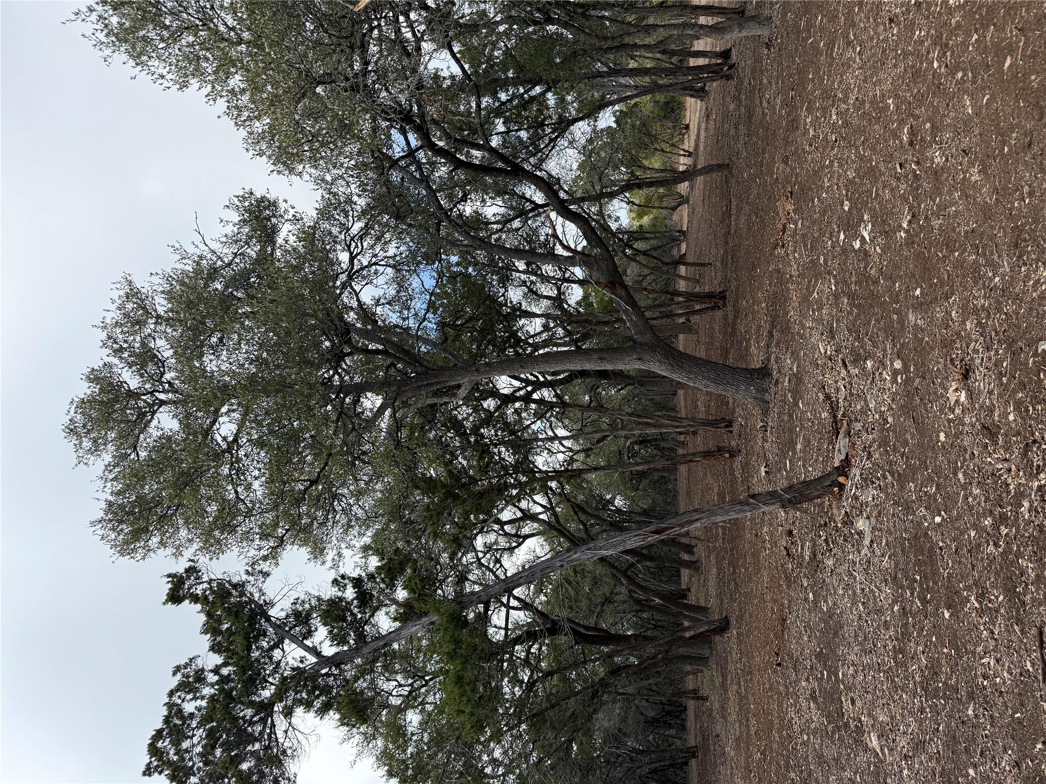 15 Acres Red Corral Ranch Rd, Wimberley, TX 78676
