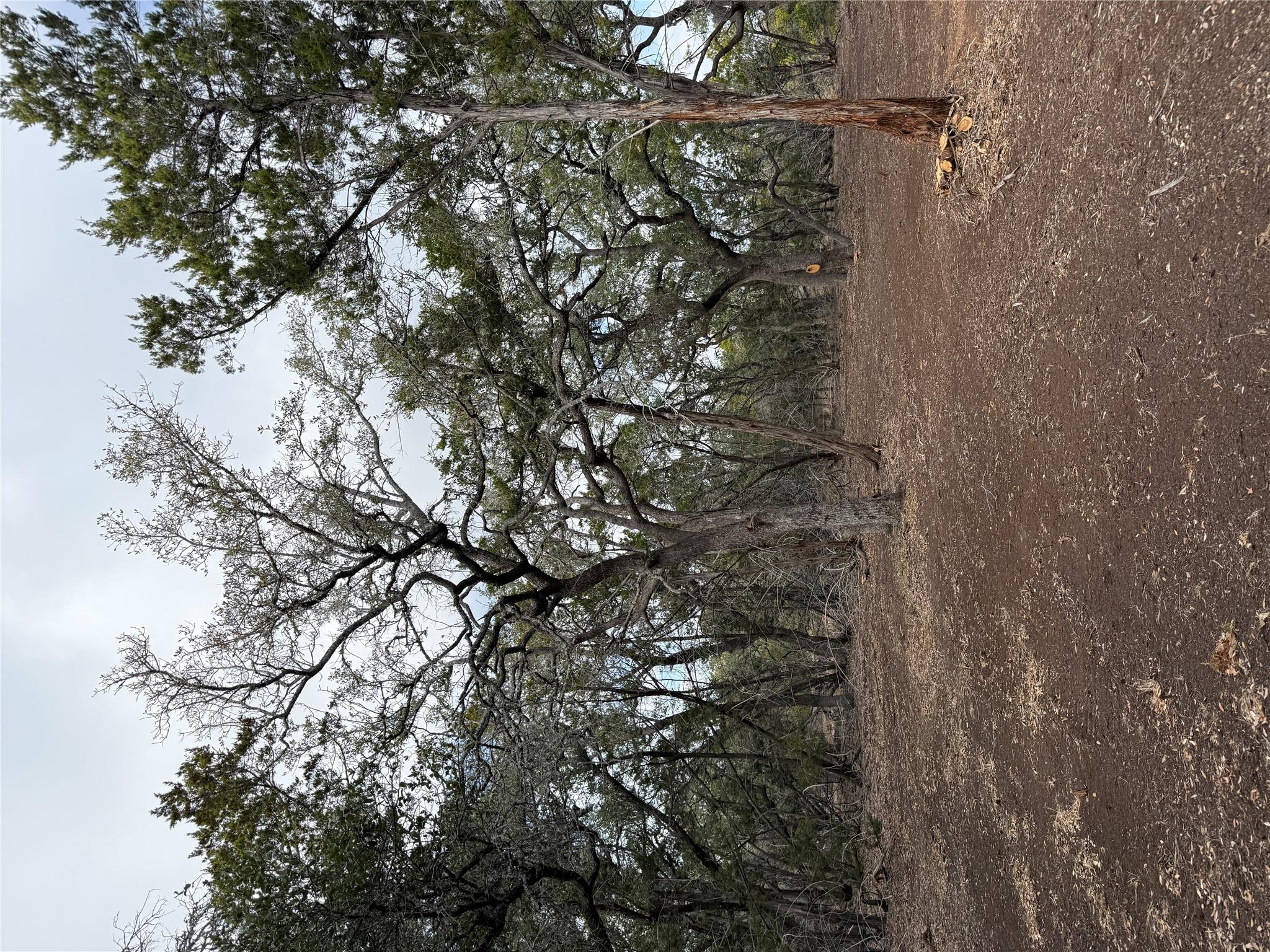15 Acres Red Corral Ranch Rd, Wimberley, TX 78676