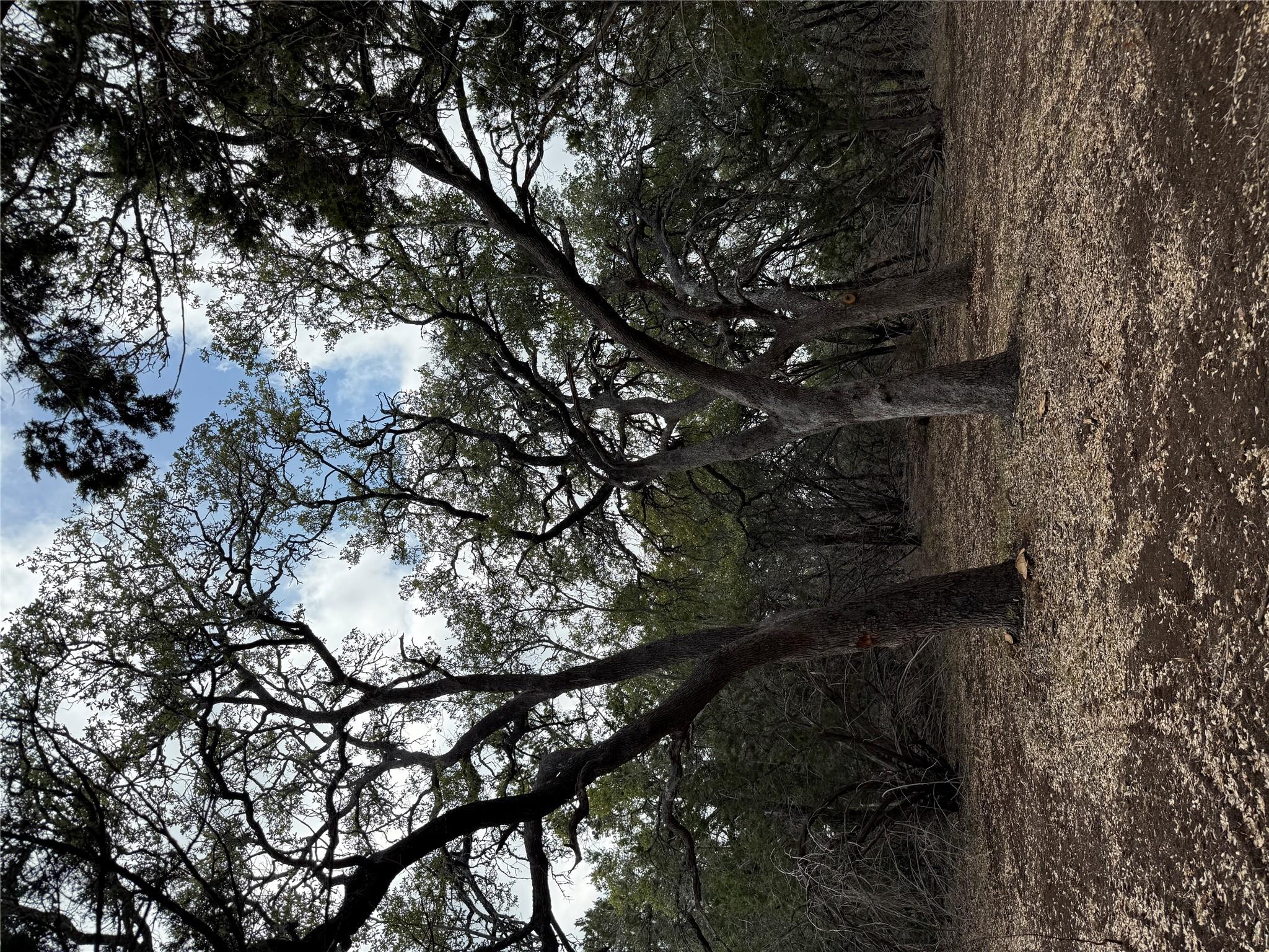 15 Acres Red Corral Ranch Rd, Wimberley, TX 78676