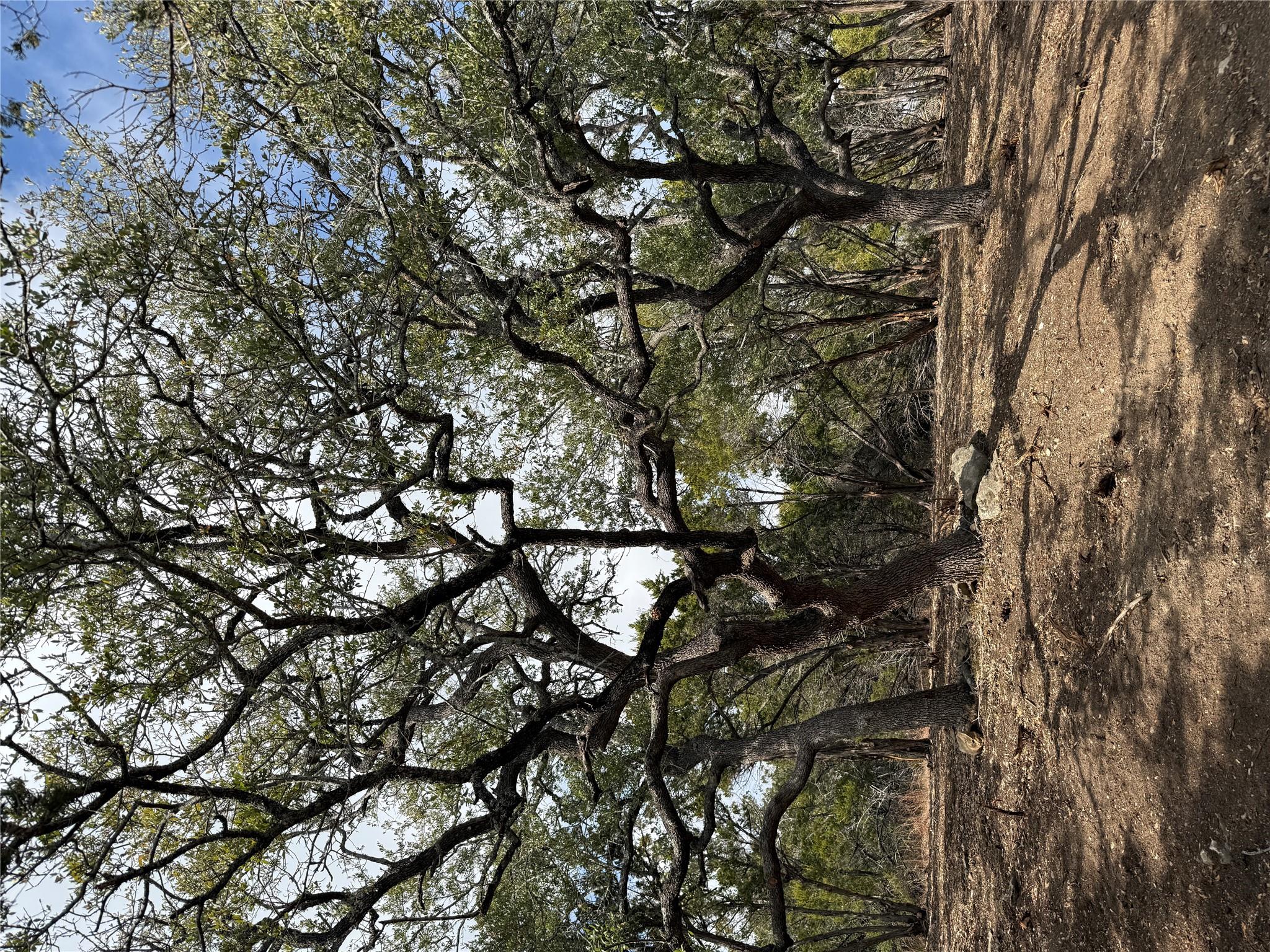 15 Acres Red Corral Ranch Rd, Wimberley, TX 78676