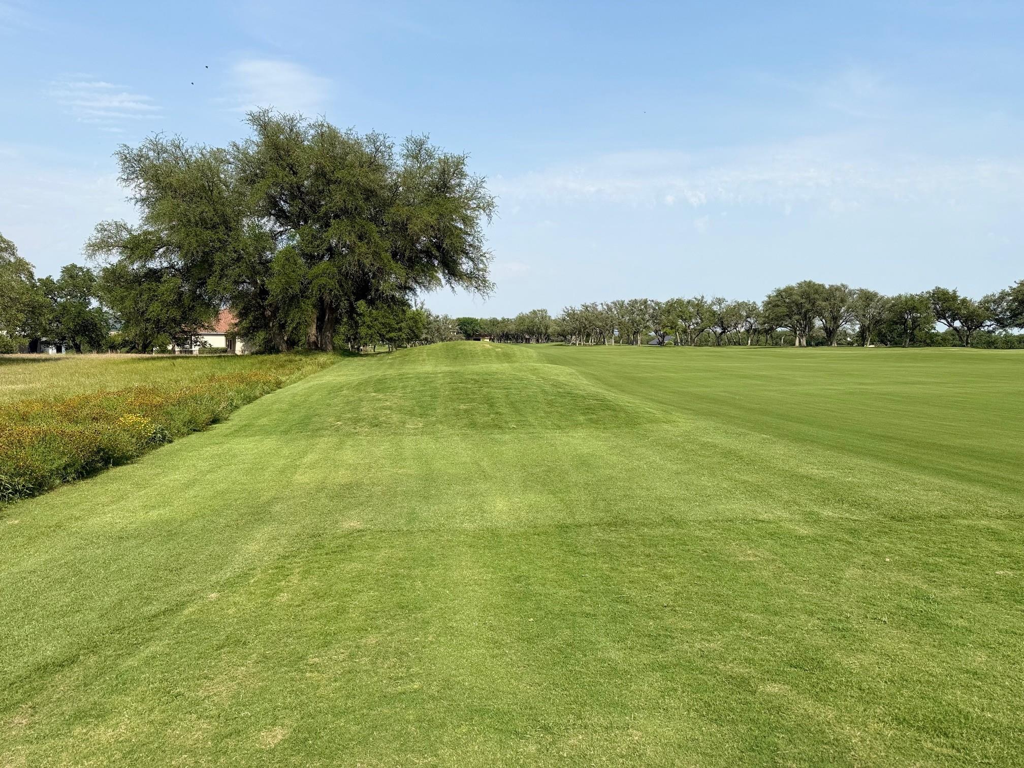 27113 Founders Pl, Spicewood, TX 78669