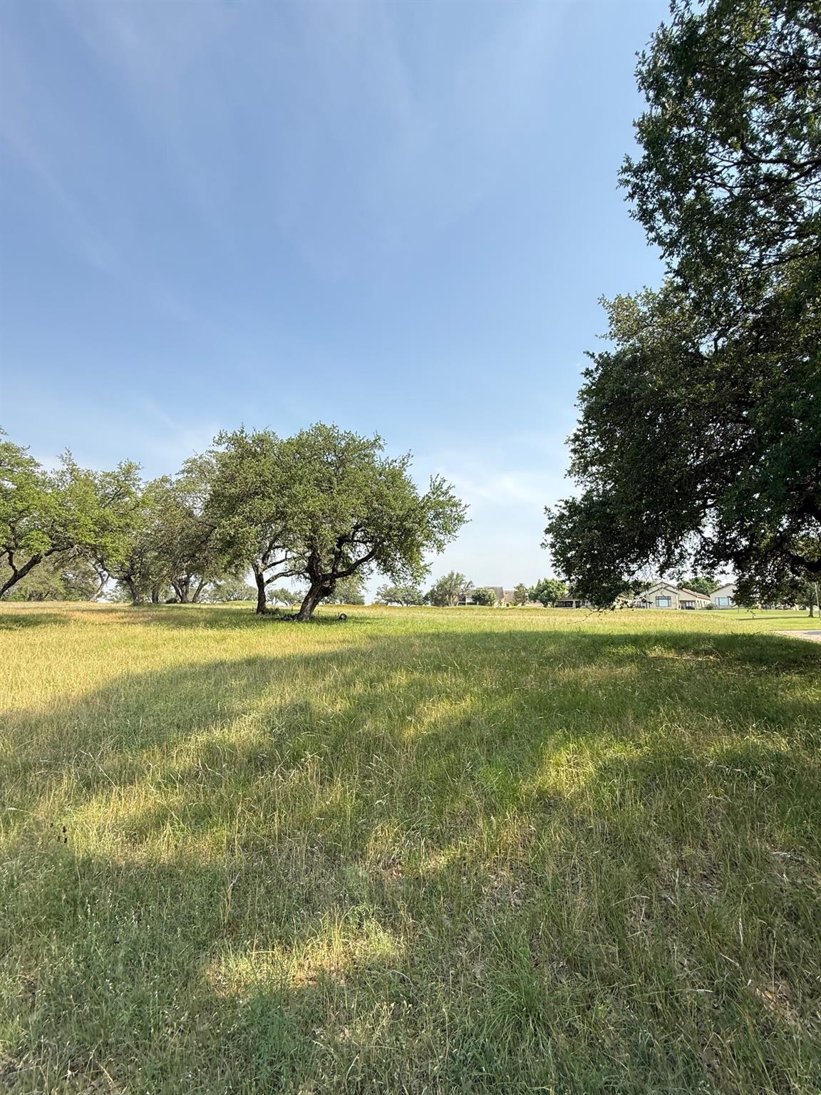 27113 Founders Pl, Spicewood, TX 78669