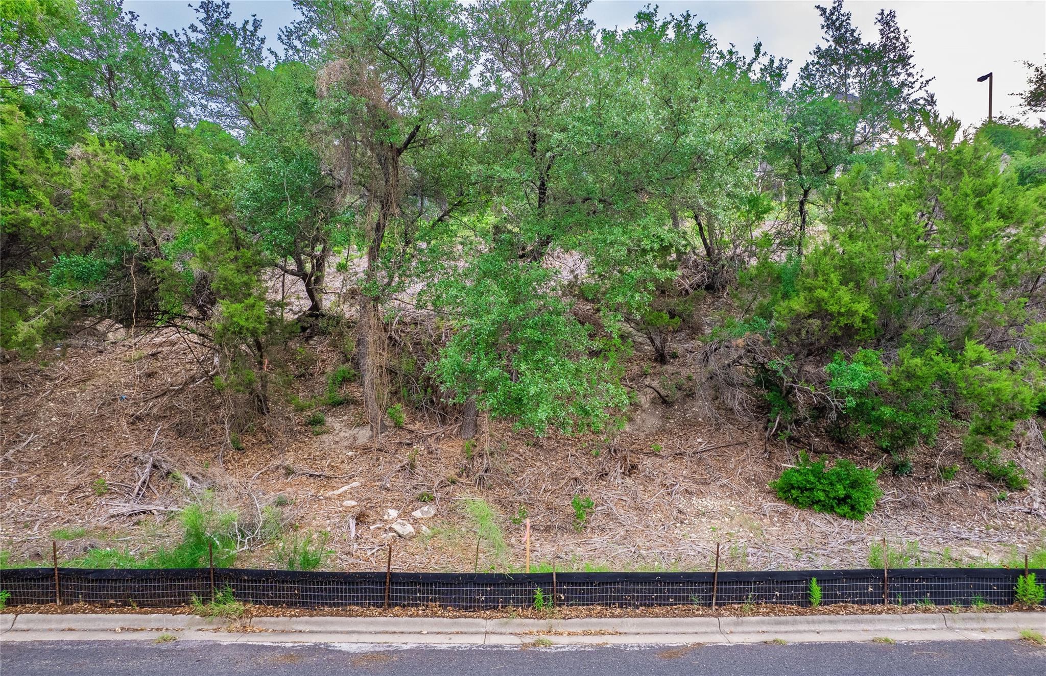 6219 Ledge Mountain Dr, Austin, TX 78731