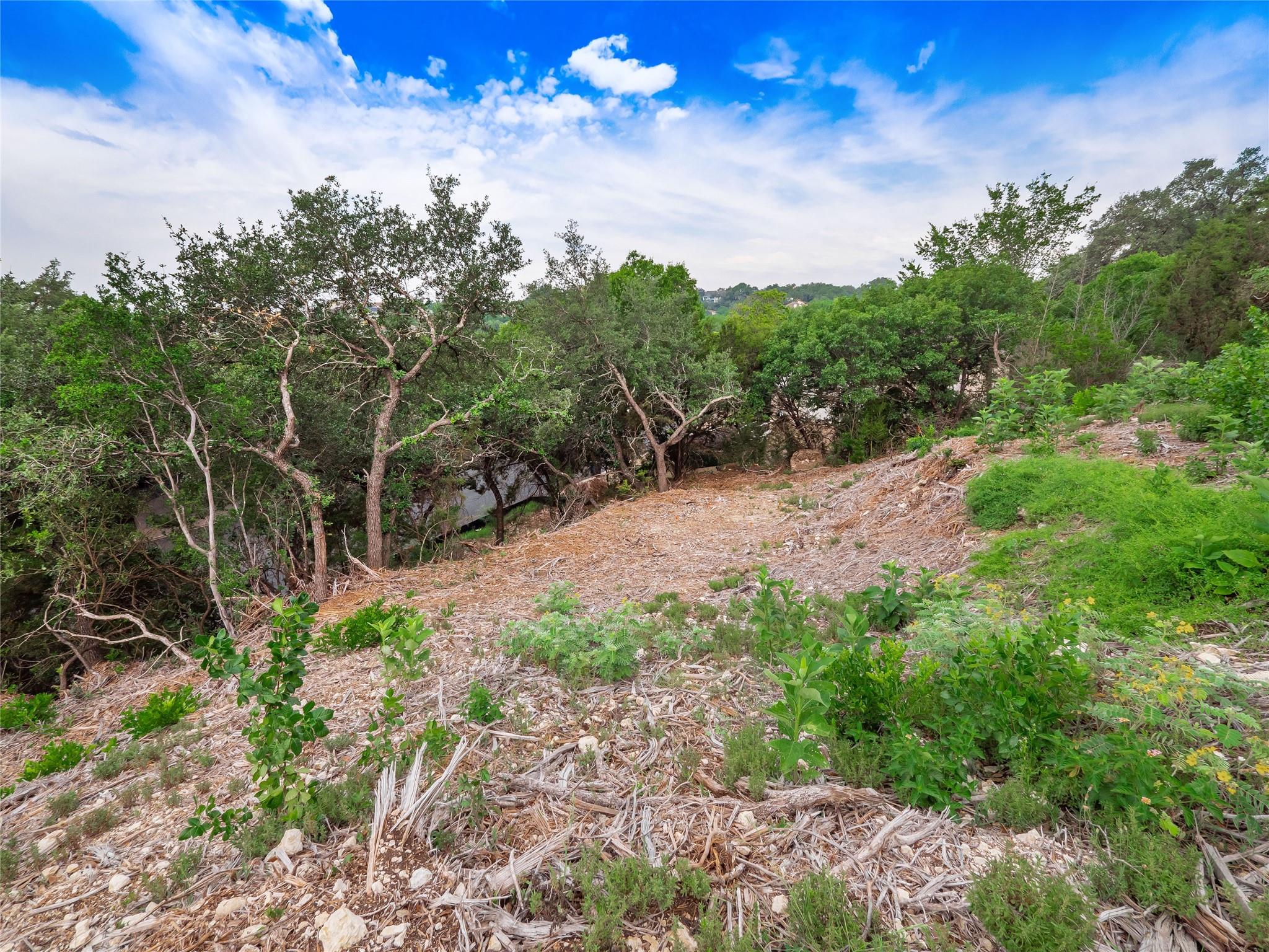 6219 Ledge Mountain Dr, Austin, TX 78731
