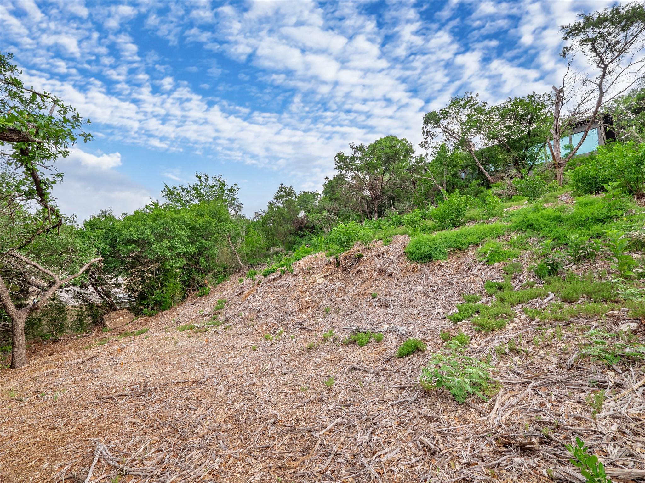 6219 Ledge Mountain Dr, Austin, TX 78731