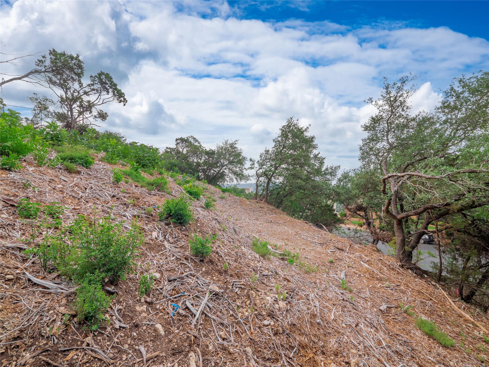 6219 Ledge Mountain Dr, Austin, TX 78731
