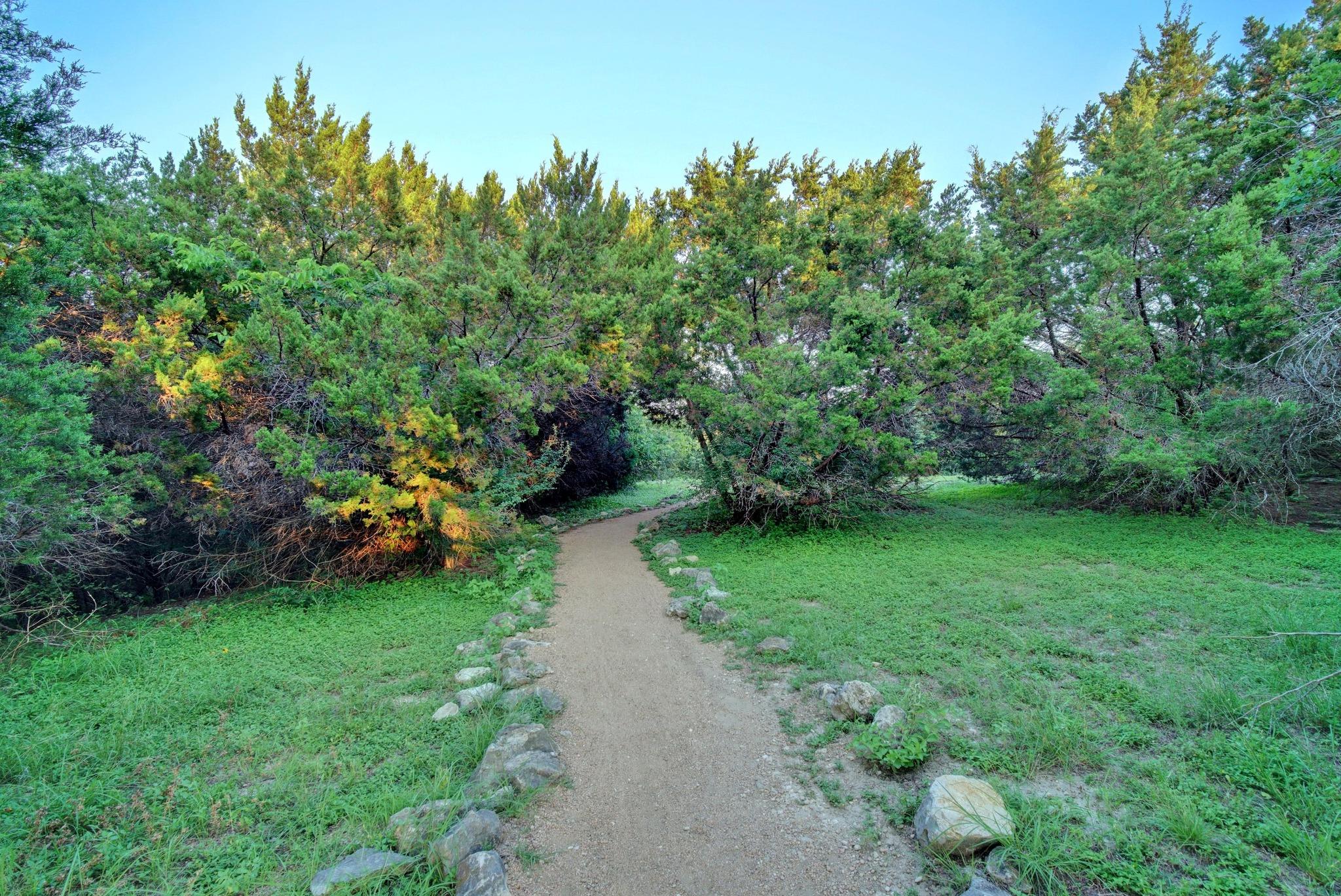 10909 Grapevine Ln, Austin, TX 78759
