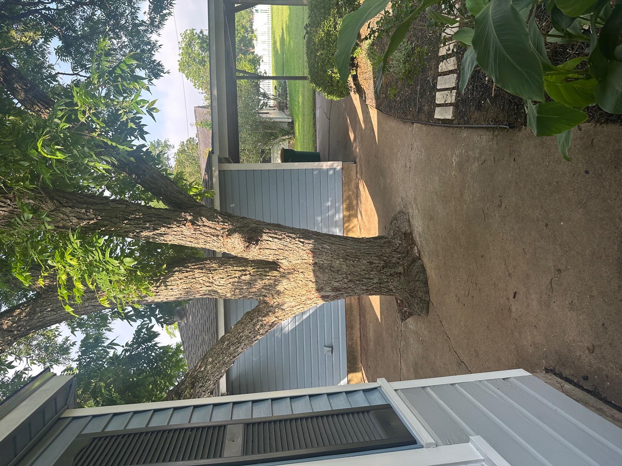 762 E Walnut St, La Grange, TX 78945