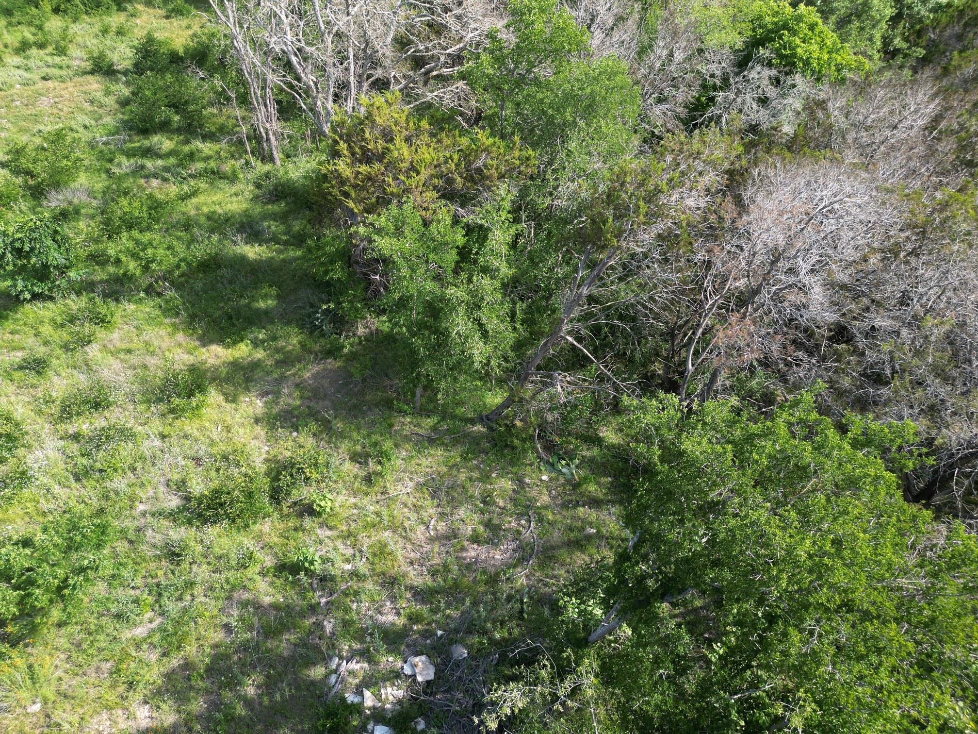 Lot 40 Serenity Dr, Bertram, TX 78605