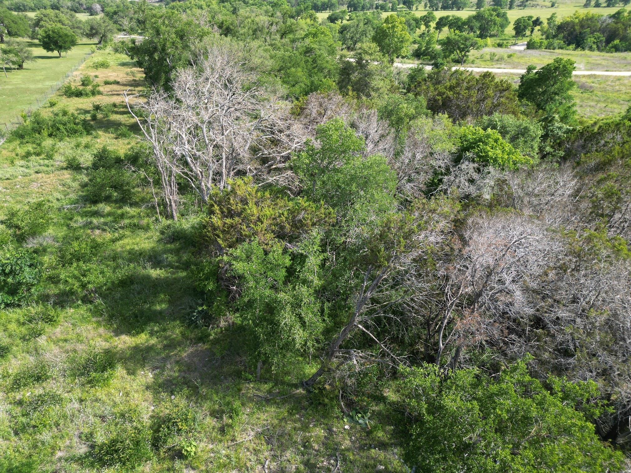 Lot 40 Serenity Dr, Bertram, TX 78605