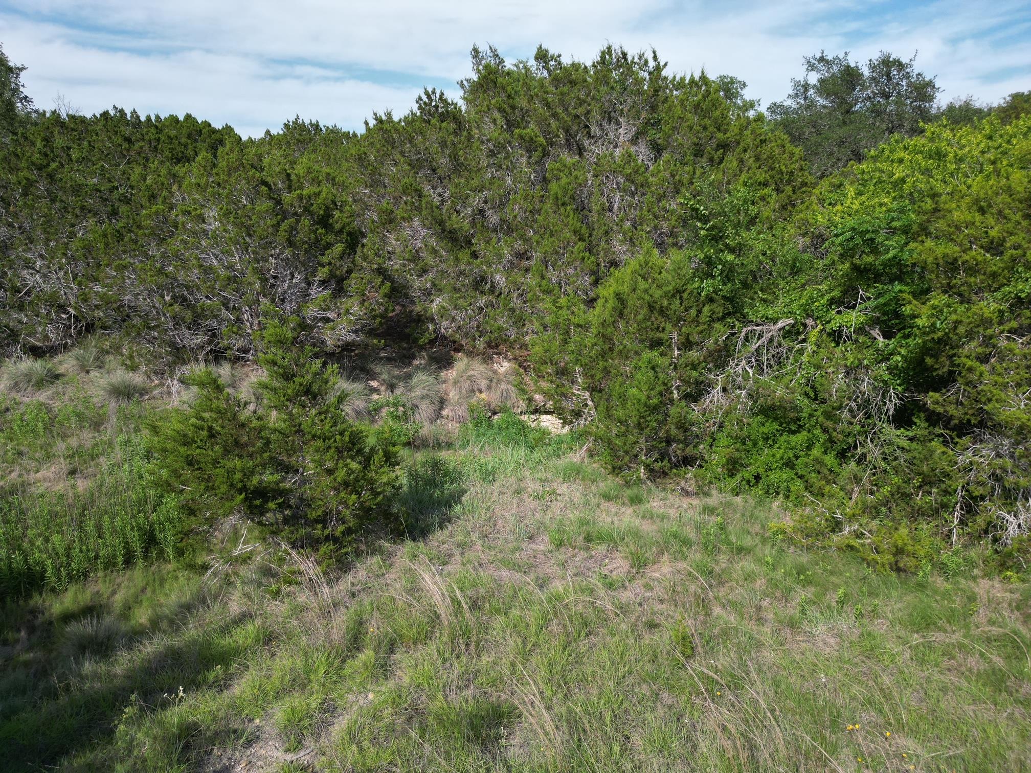 Lot 40 Serenity Dr, Bertram, TX 78605