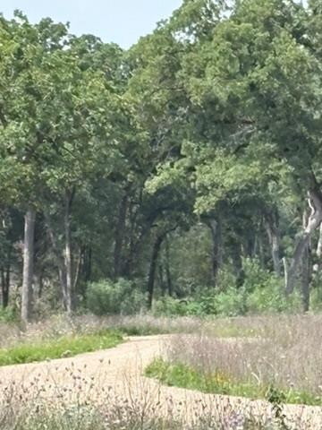 TBD FM 2104, Paige, TX 78957
