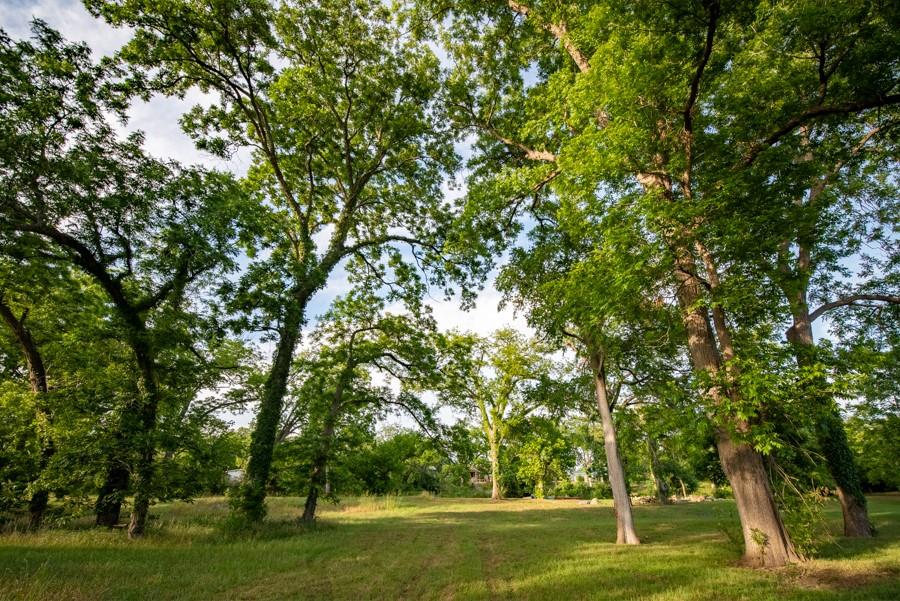 110 Rustic River Rd, Martindale, TX 78655