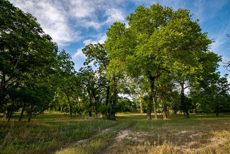 110 Rustic River Rd, Martindale, TX 78655