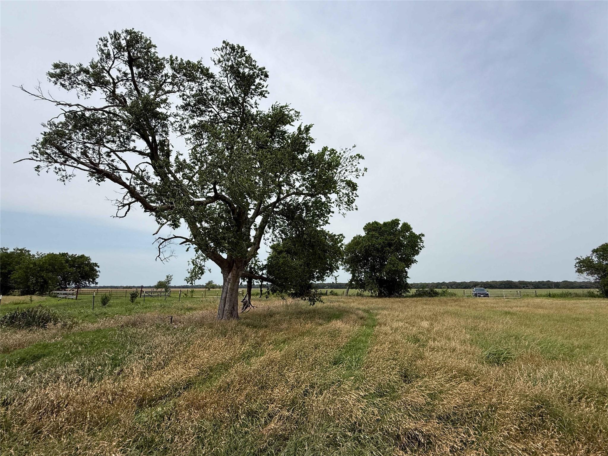 00 CR 129 Rd, Marlin, TX 76661