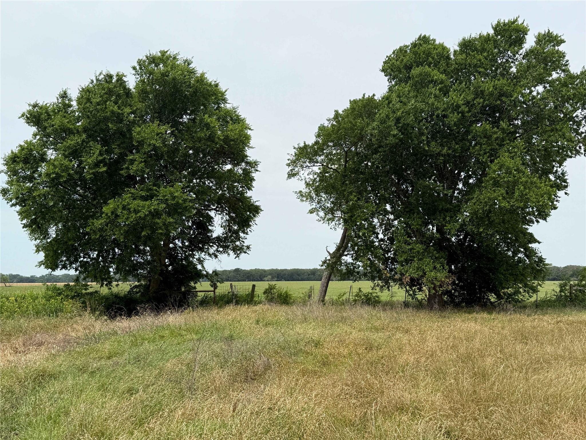 00 CR 129 Rd, Marlin, TX 76661