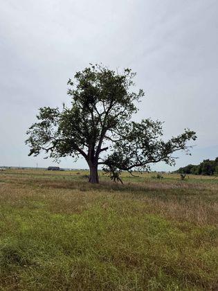 00 CR 129 Rd, Marlin, TX 76661