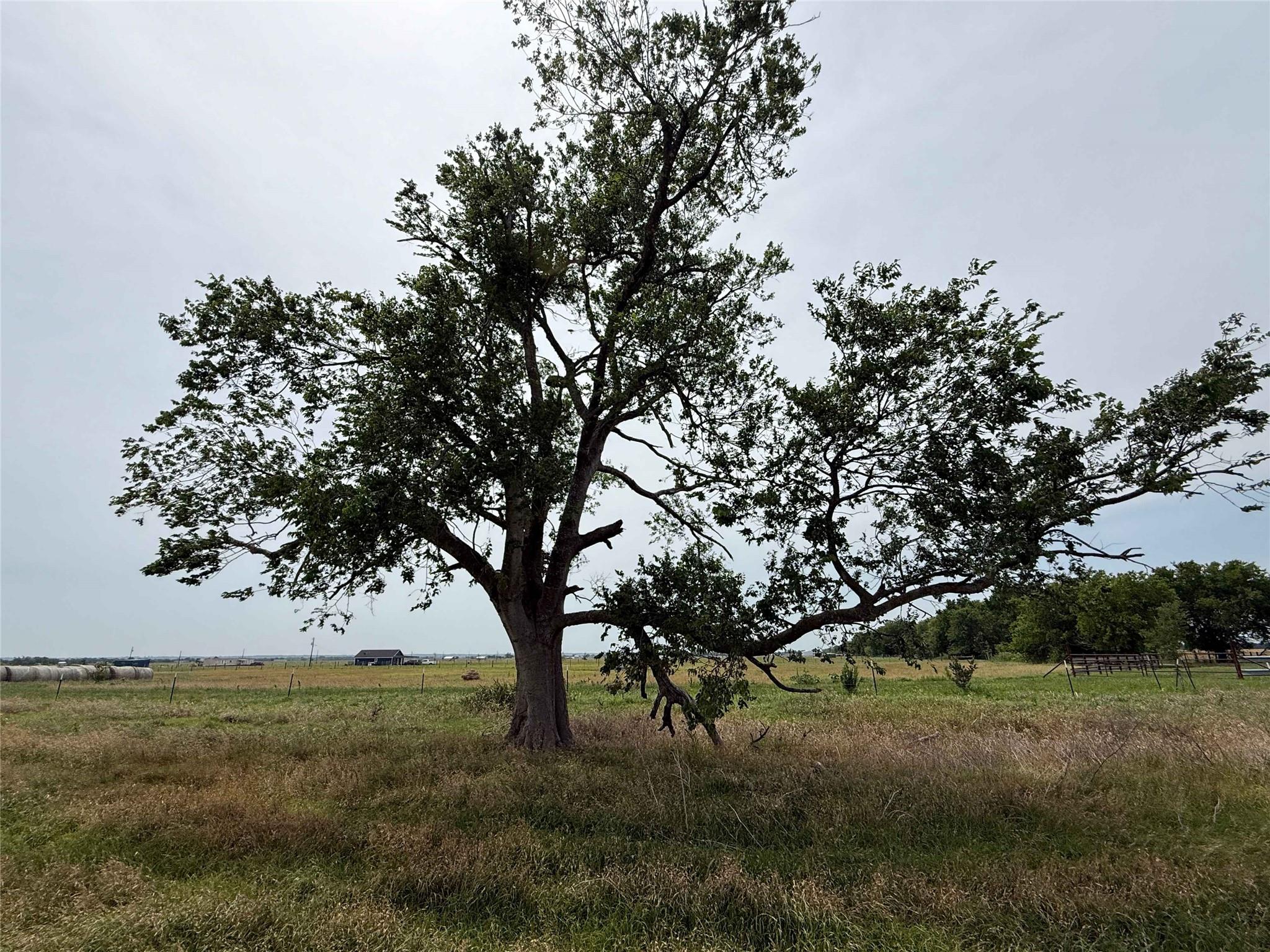 00 CR 129 Rd, Marlin, TX 76661