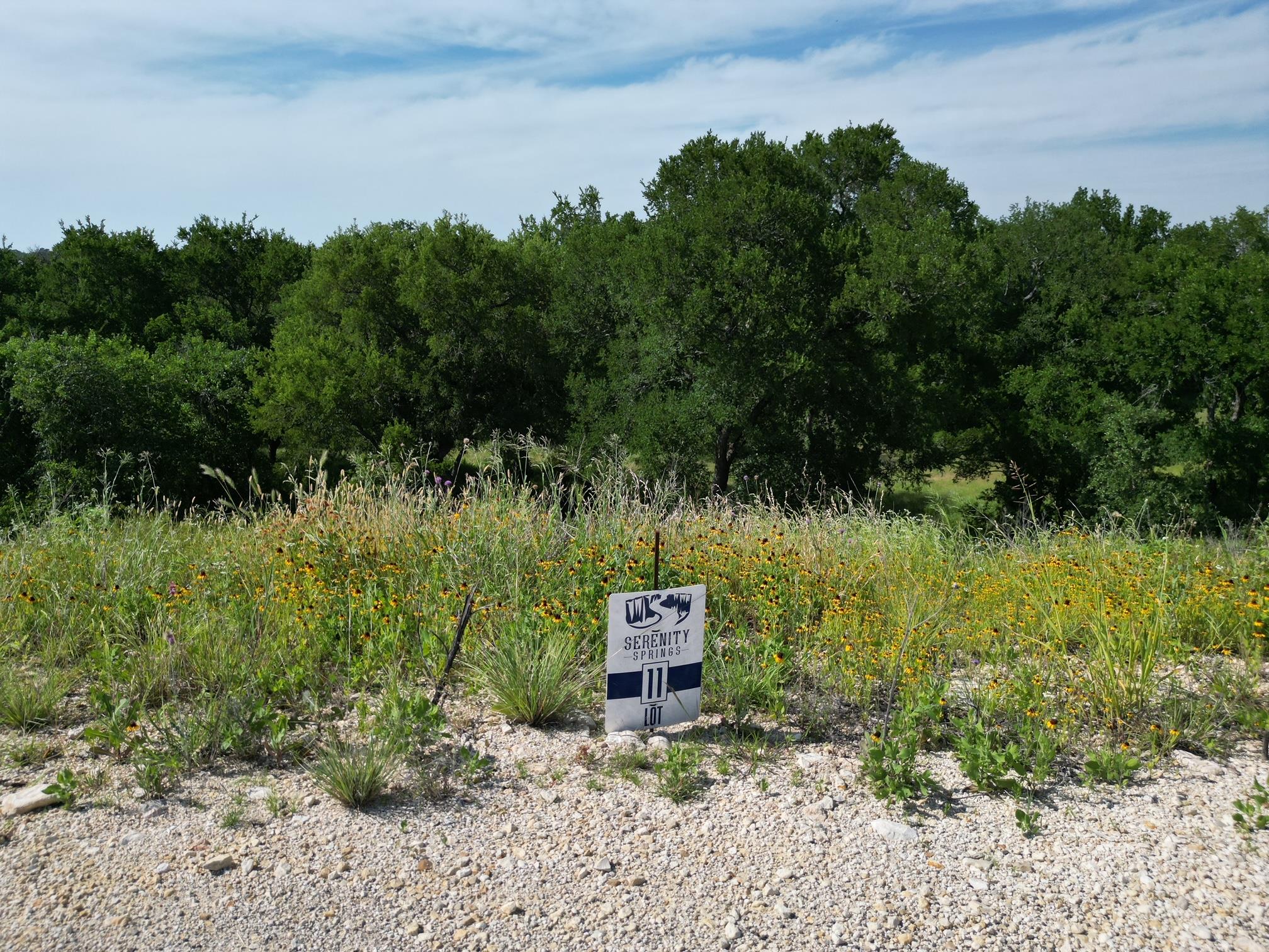 212 Serenity Dr, Liberty Hill, TX 78642