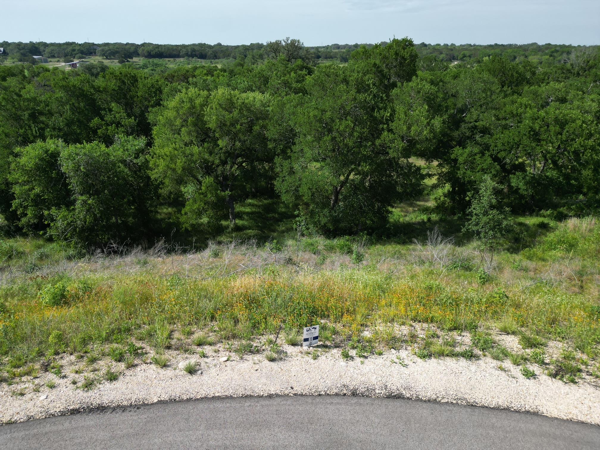 212 Serenity Dr, Liberty Hill, TX 78642