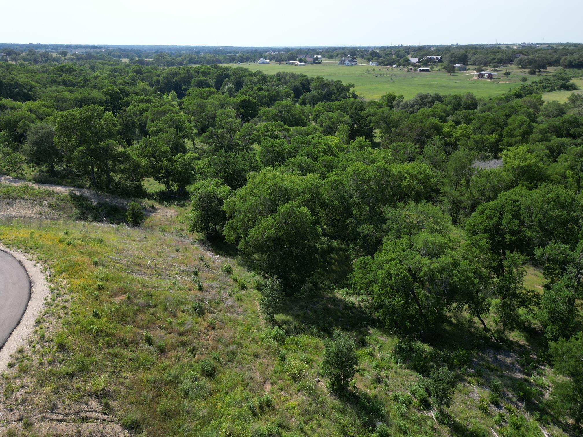 212 Serenity Dr, Liberty Hill, TX 78642