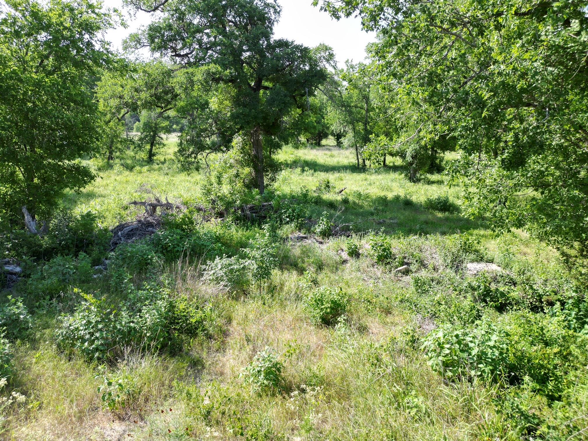 212 Serenity Dr, Liberty Hill, TX 78642