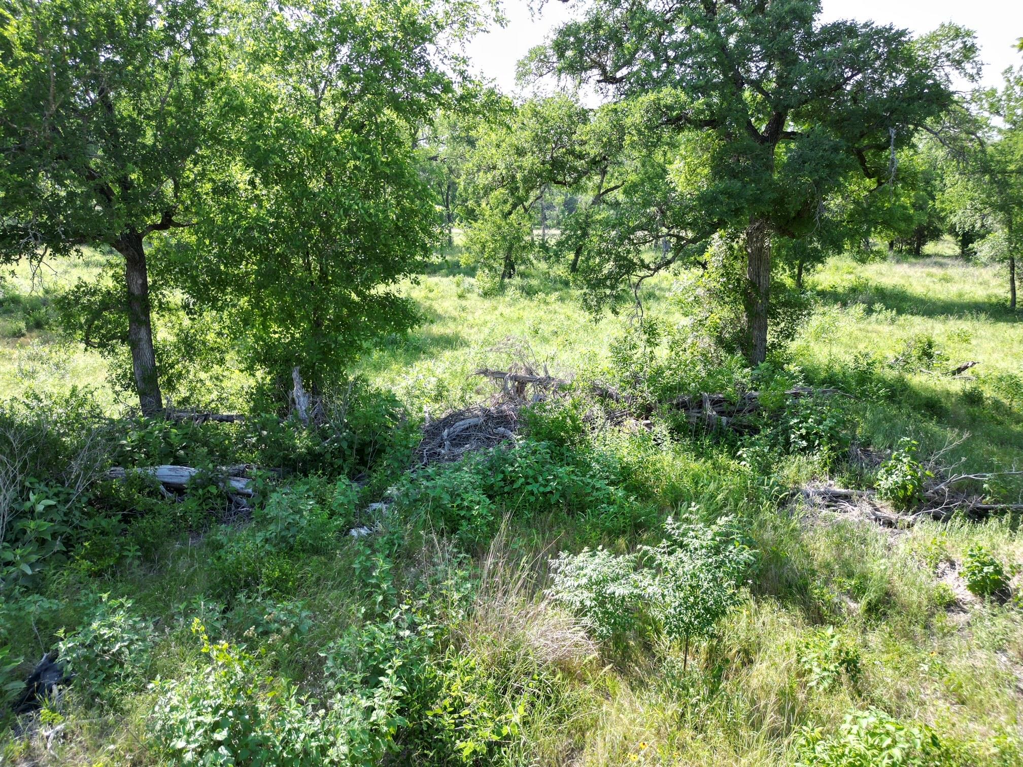 212 Serenity Dr, Liberty Hill, TX 78642