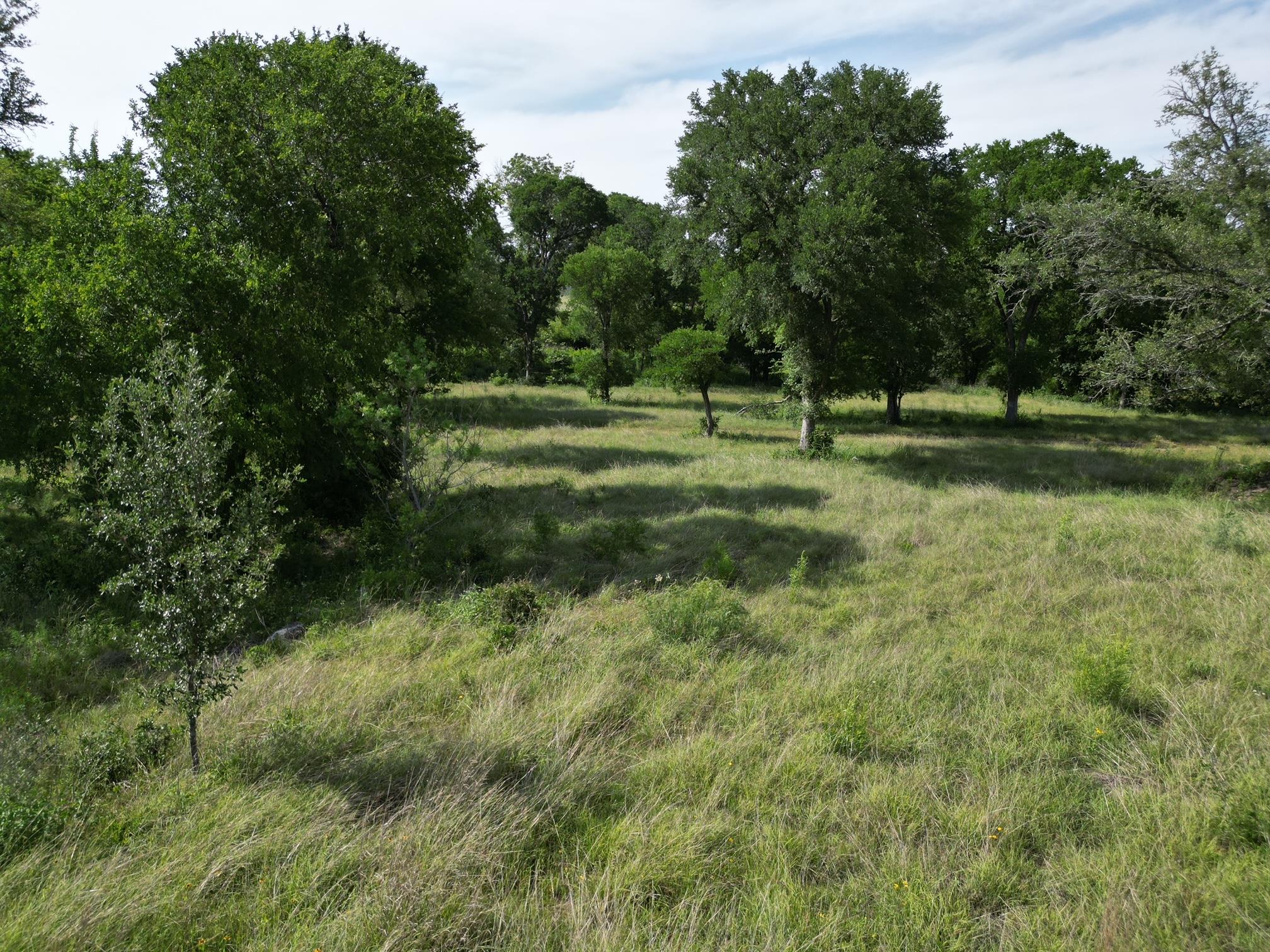 208 Serenity Dr, Liberty Hill, TX 78642