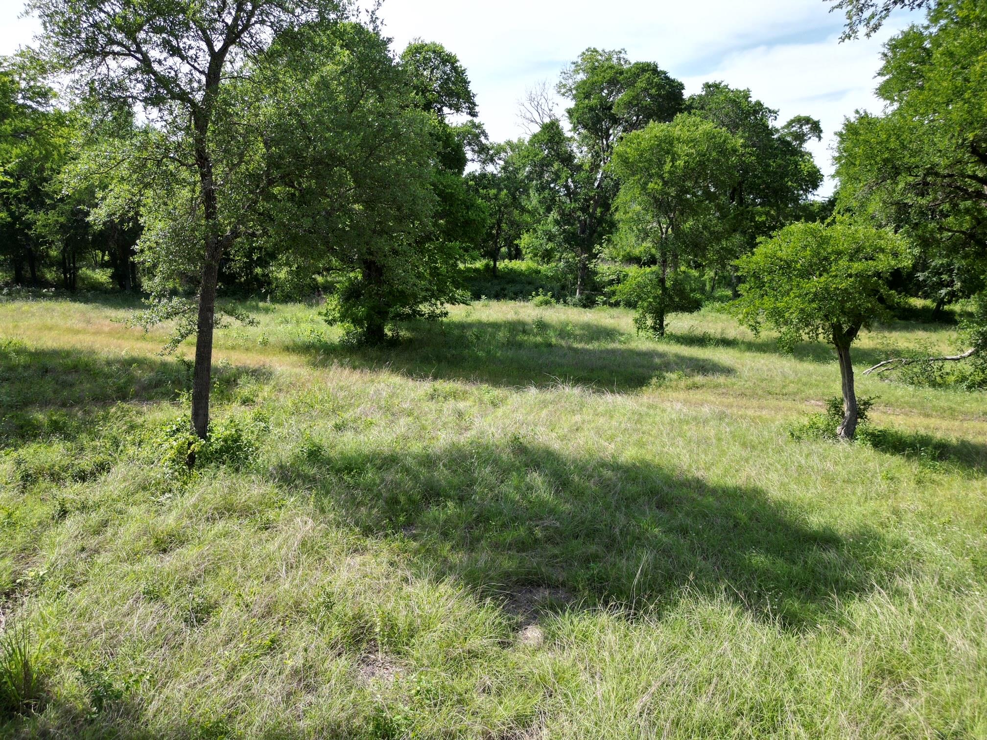 208 Serenity Dr, Liberty Hill, TX 78642