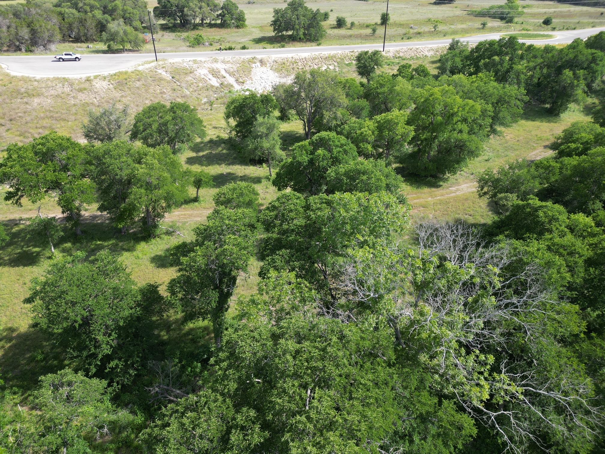 208 Serenity Dr, Liberty Hill, TX 78642