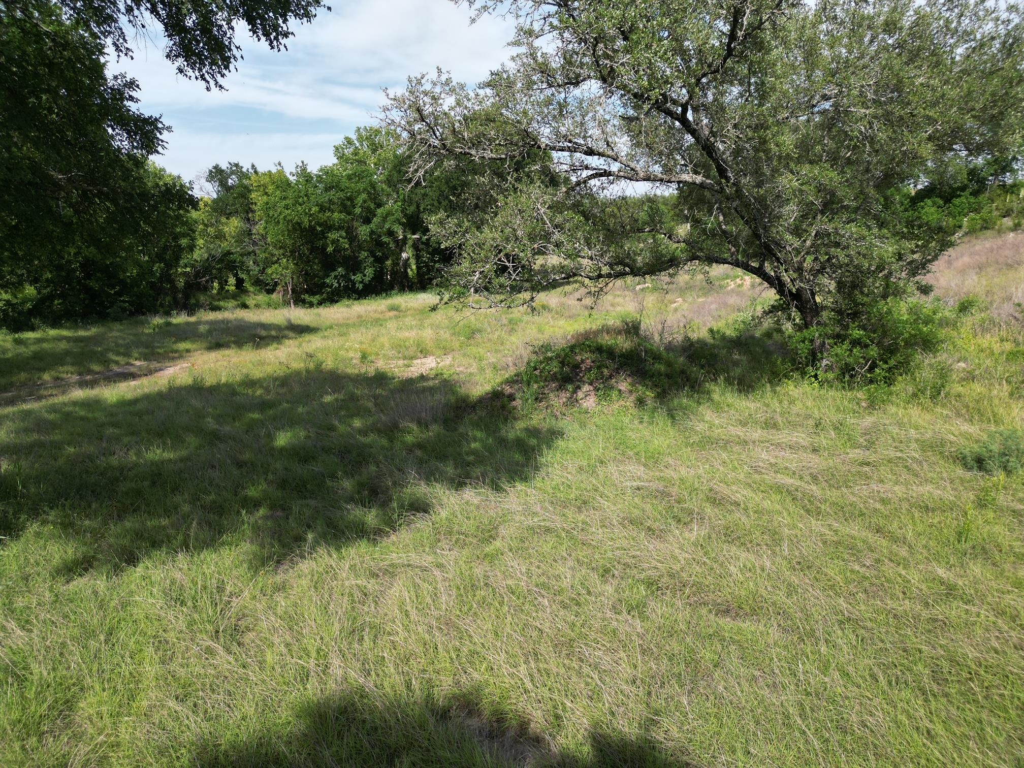 208 Serenity Dr, Liberty Hill, TX 78642
