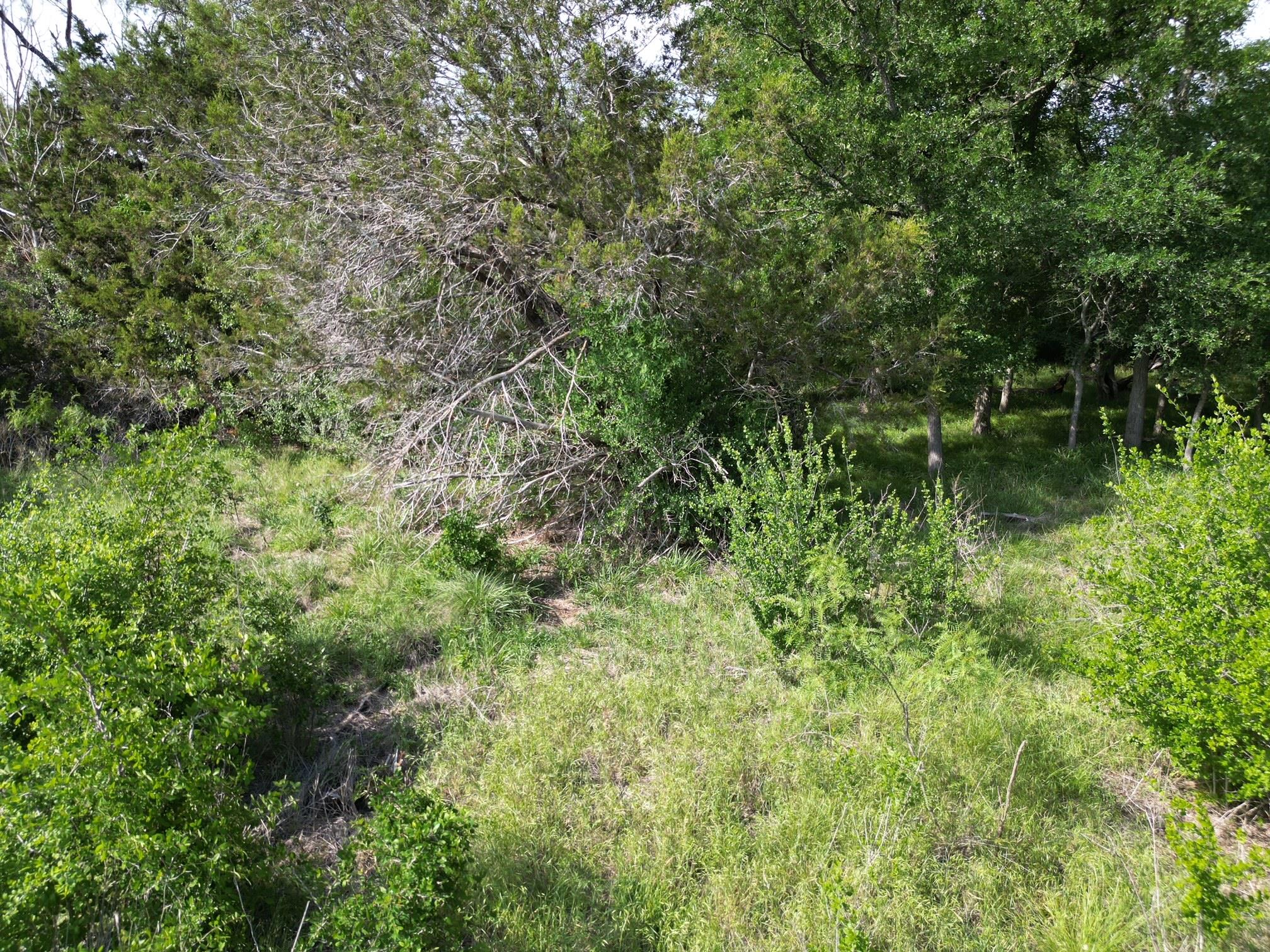 Lot 39 Serenity Dr, Bertram, TX 78605