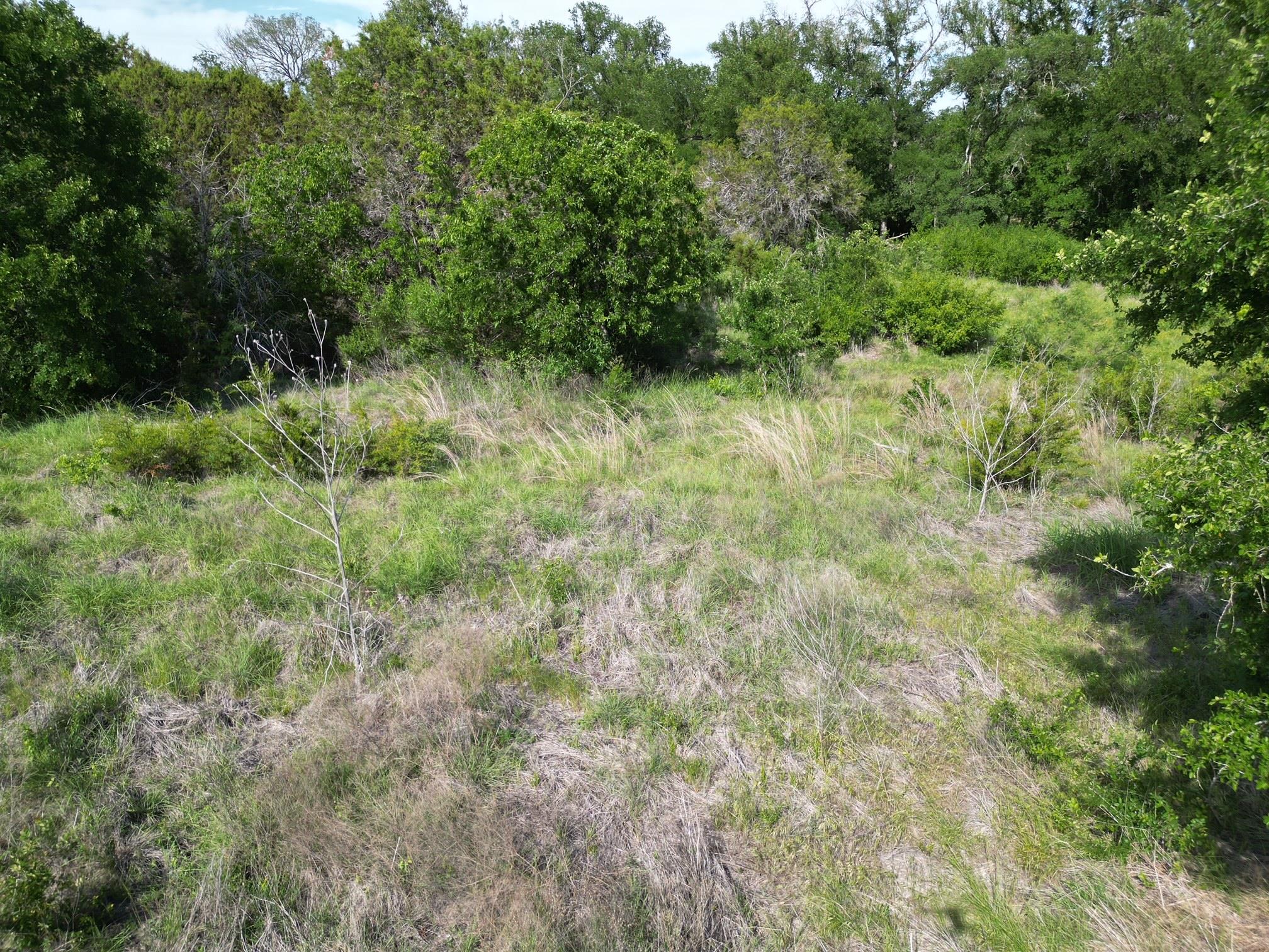 Lot 39 Serenity Dr, Bertram, TX 78605
