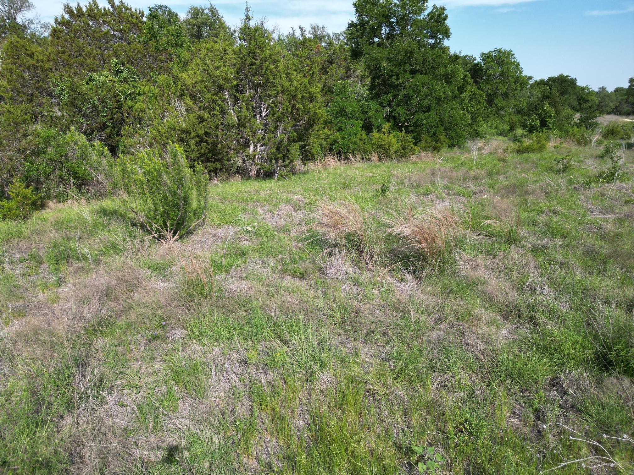 Lot 39 Serenity Dr, Bertram, TX 78605