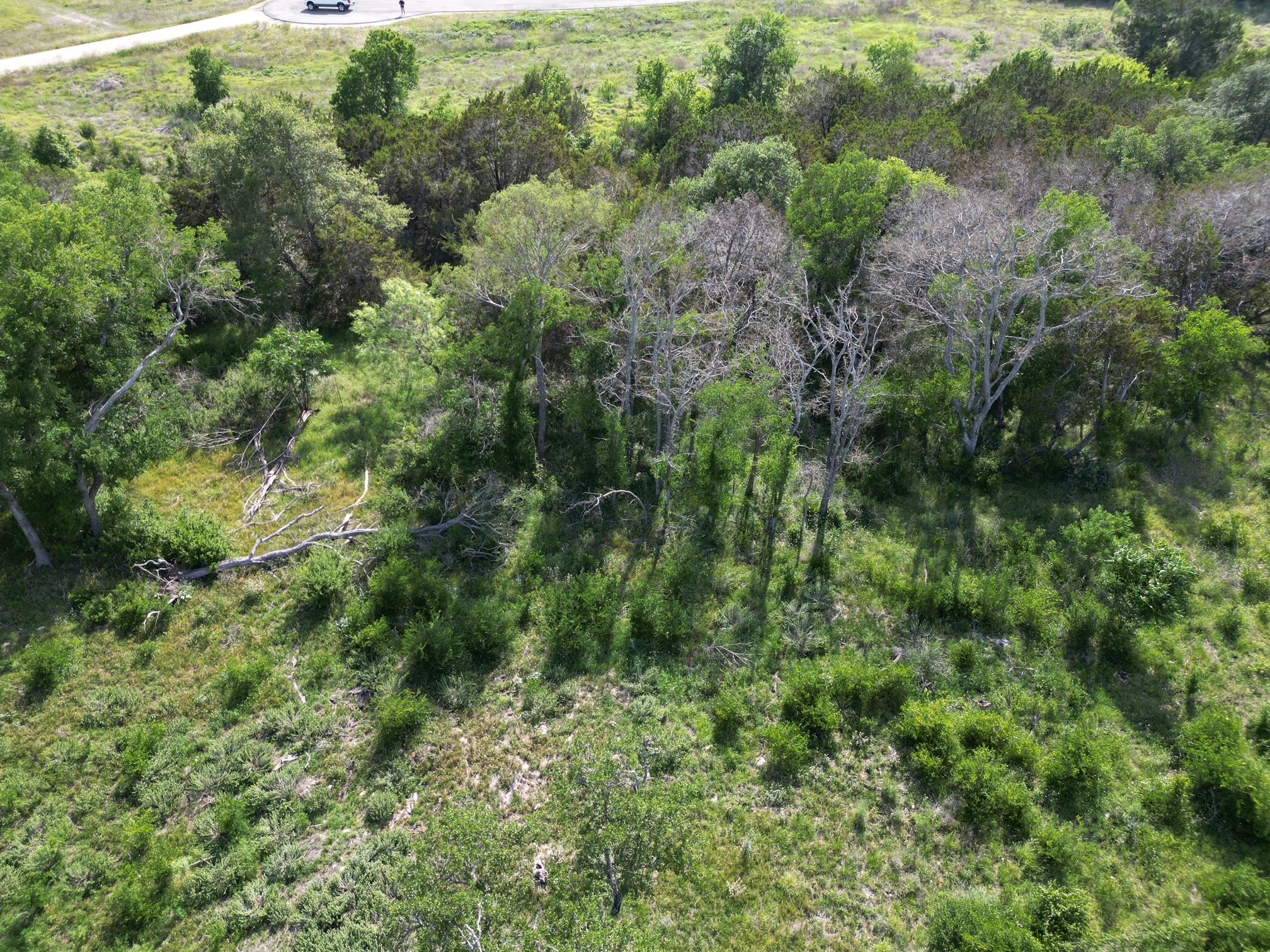 Lot 39 Serenity Dr, Bertram, TX 78605