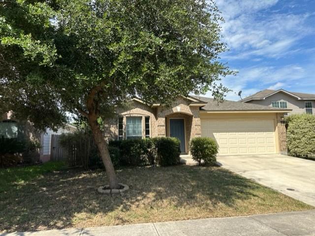 221 Roadrunner Ave, New Braunfels, TX 78130