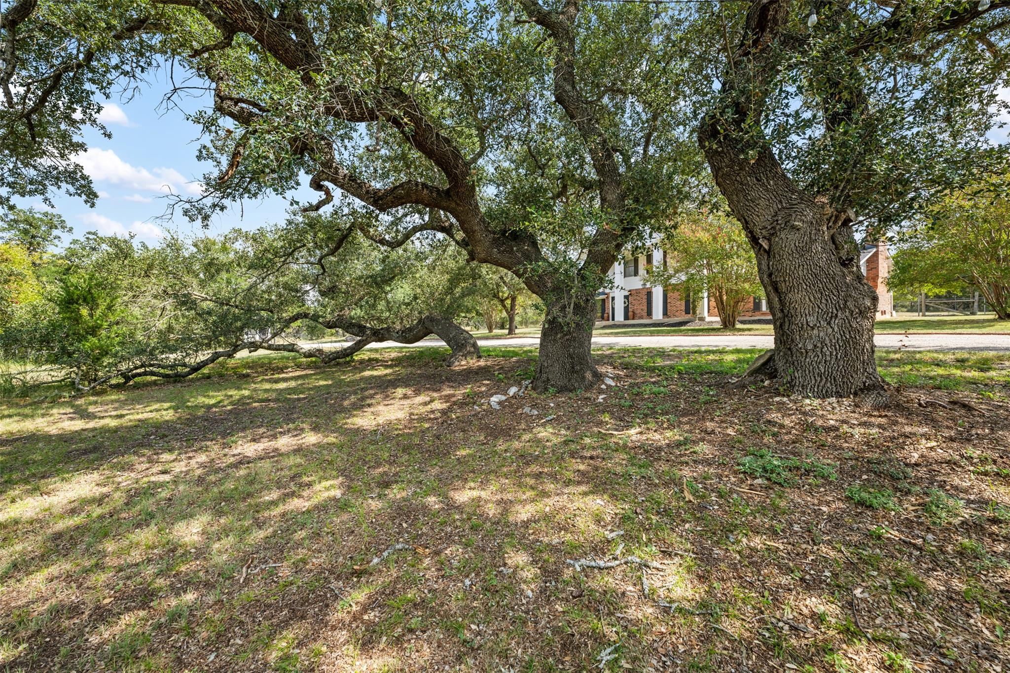 22651 Nameless Rd, Leander, TX 78641