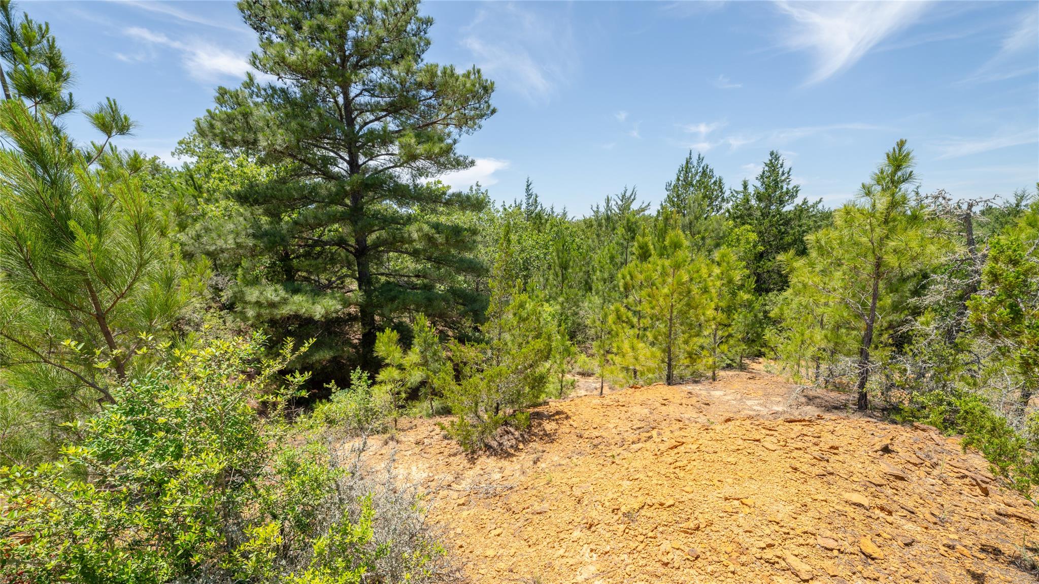 0000 CR 330, Milano, TX 76556