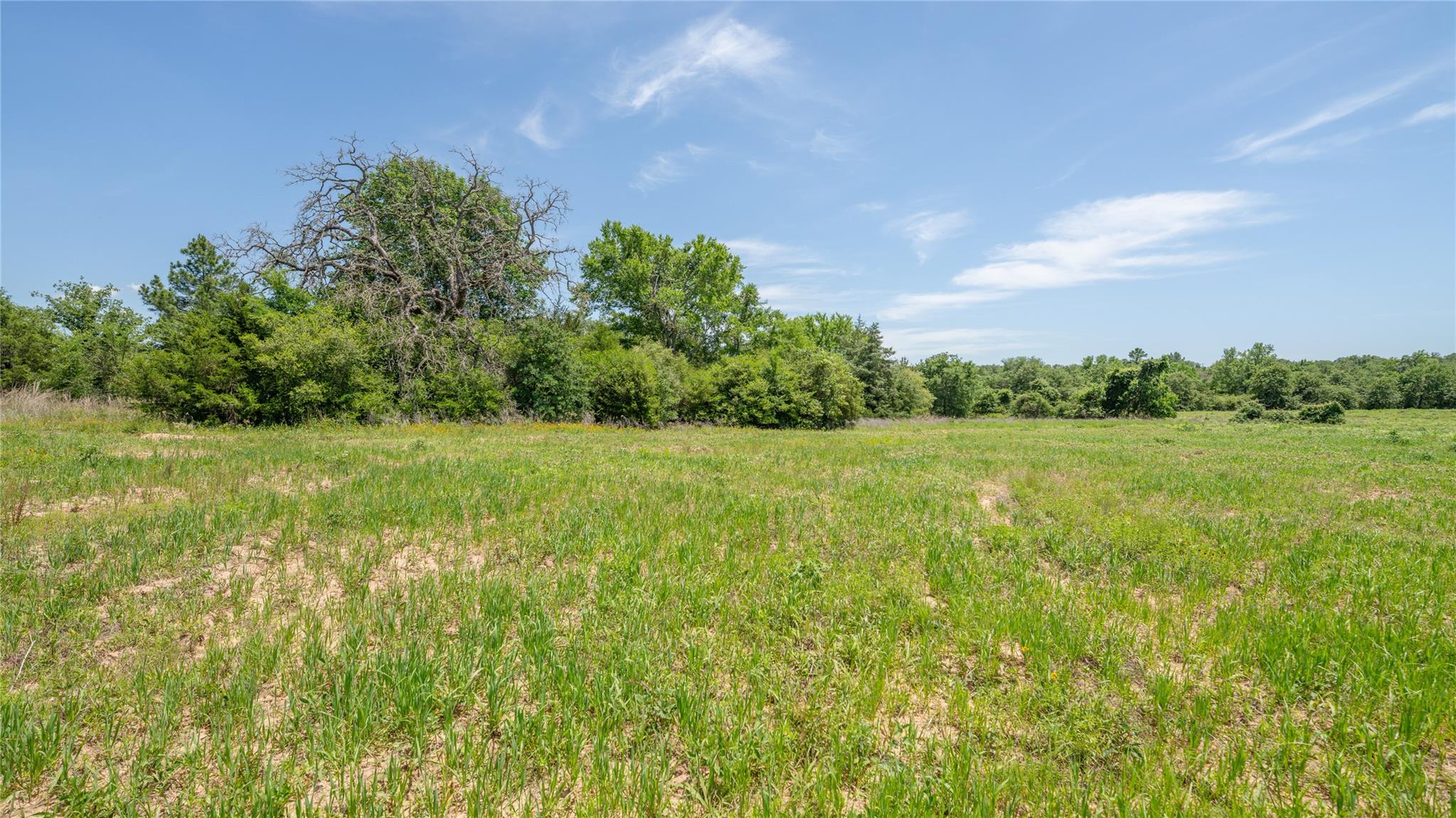 0000 CR 330, Milano, TX 76556